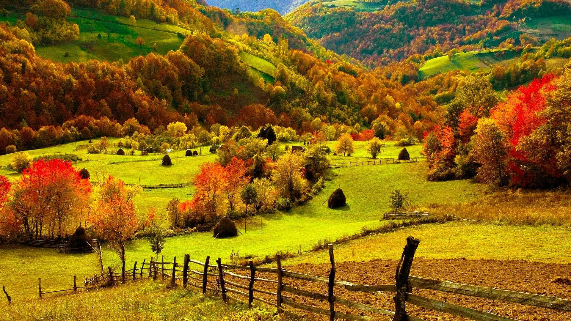 tiny farmhouse, autumn hills, golden sunlight, Full HD Desktop Wallpaper