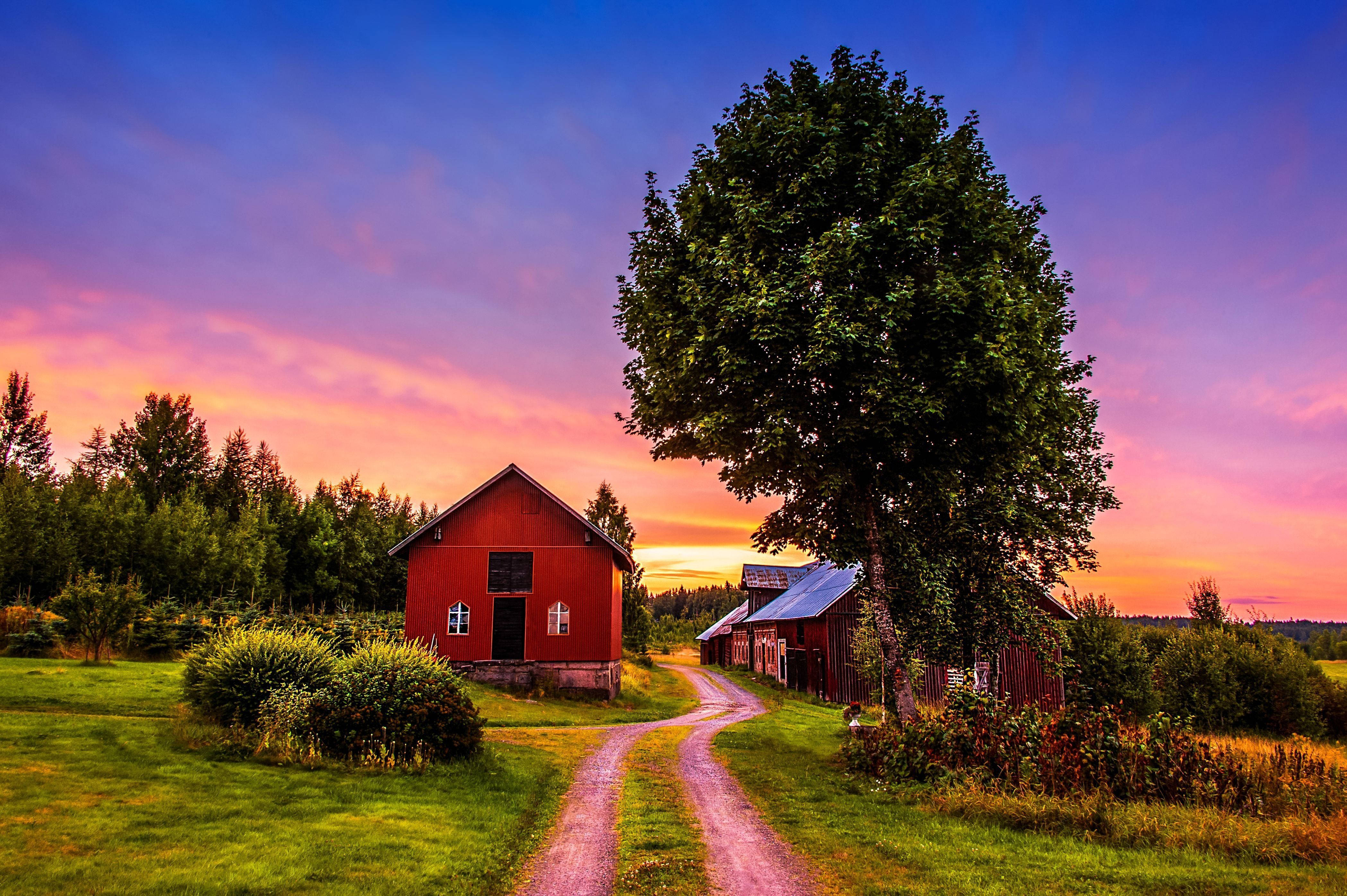 farmhouse, tall tree, vibrant red barn, 4K Desktop Wallpaper