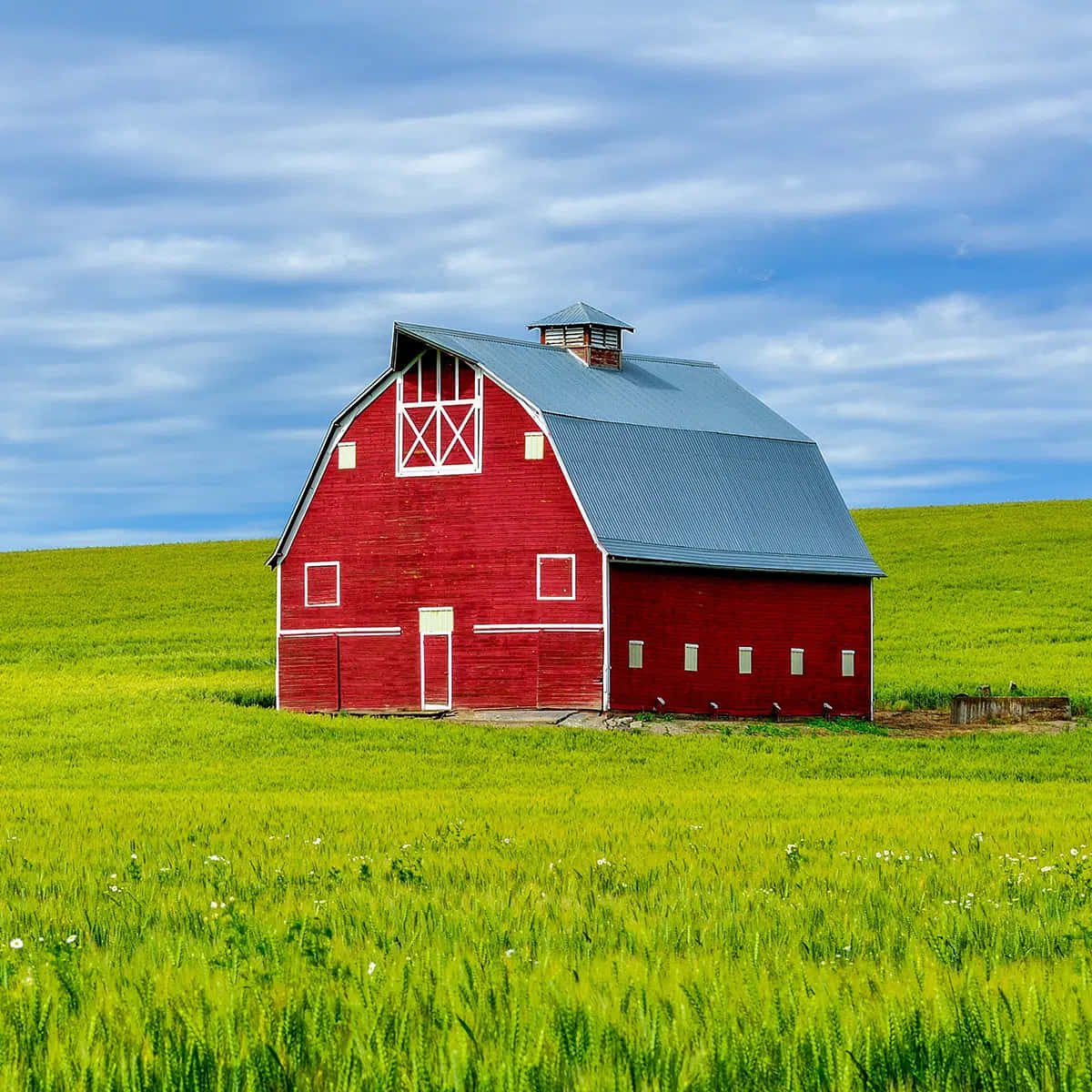 red barn, white trim, blue roof, SD Desktop Wallpaper