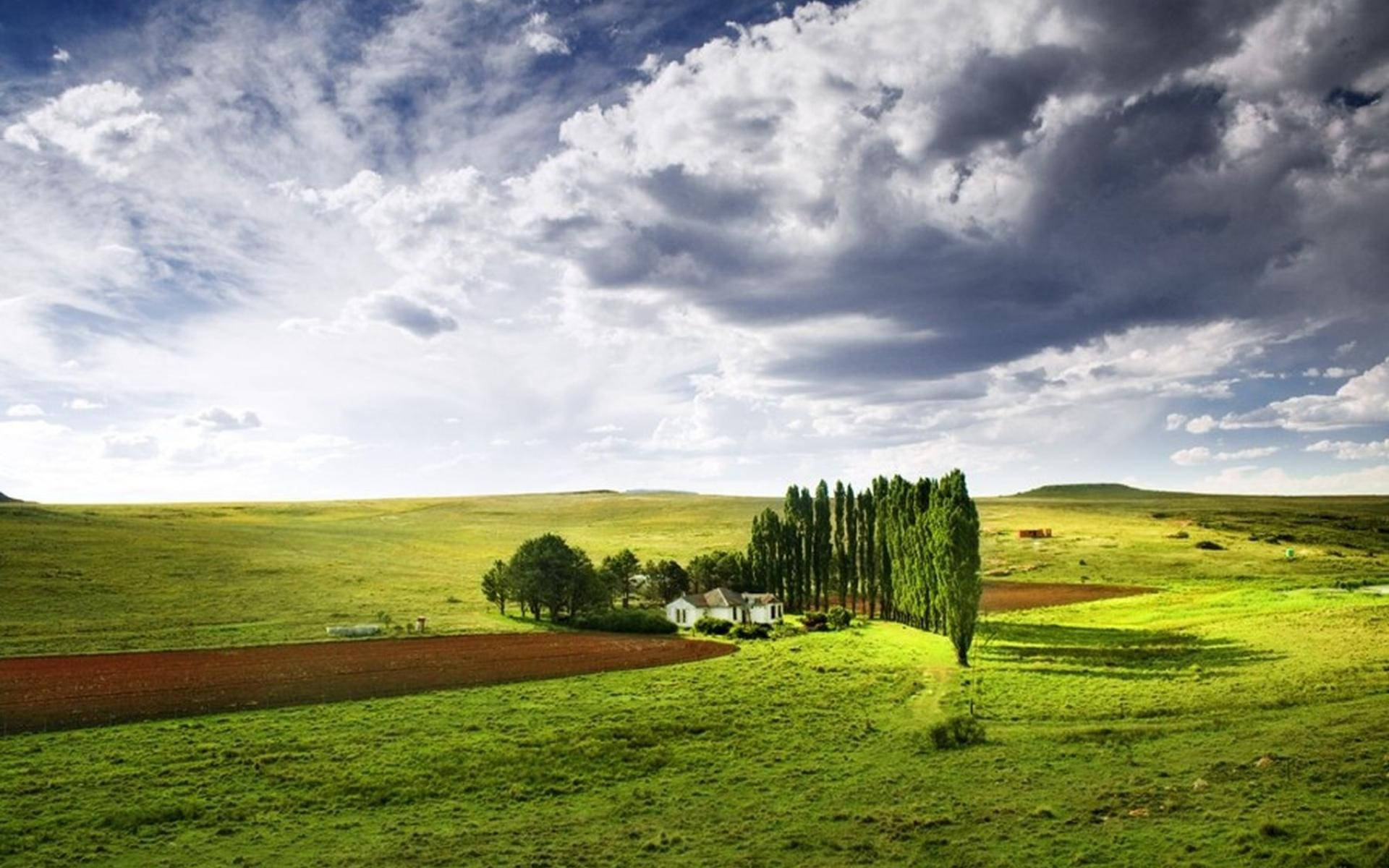 white farmhouse, cypress trees, vast green field, Full HD Desktop Wallpaper