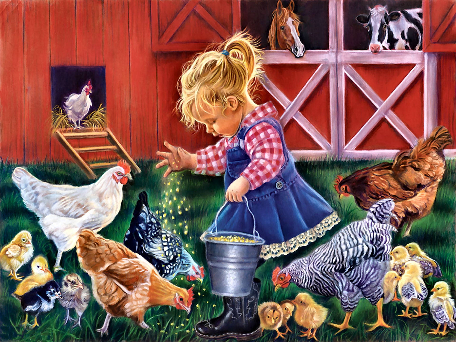 baby feeding chicken, chickens, chicks, Full HD Desktop Wallpaper