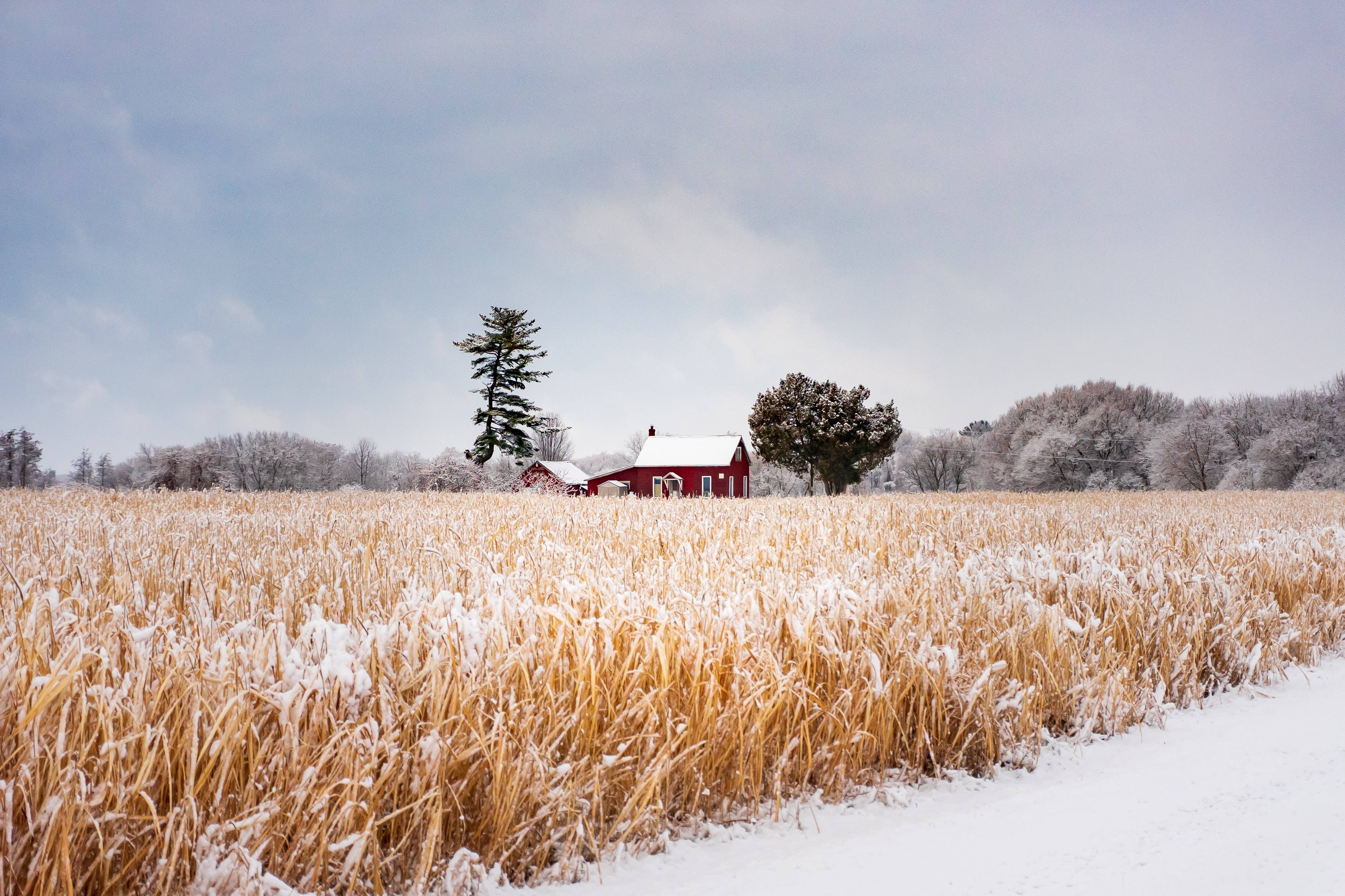 farmhouse, winter, red farmhouse, 2K Desktop Wallpaper