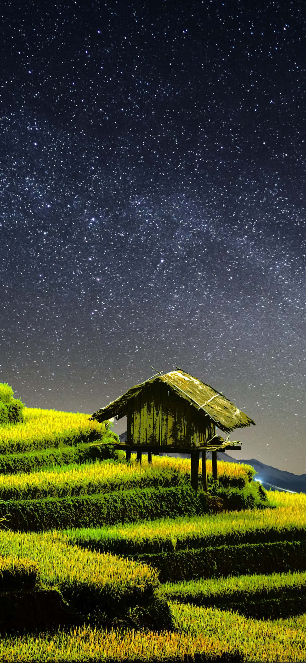 rustic wooden hut, terraced rice fields, breathtakingly dense starry night sky, Full HD Phone Wallpaper