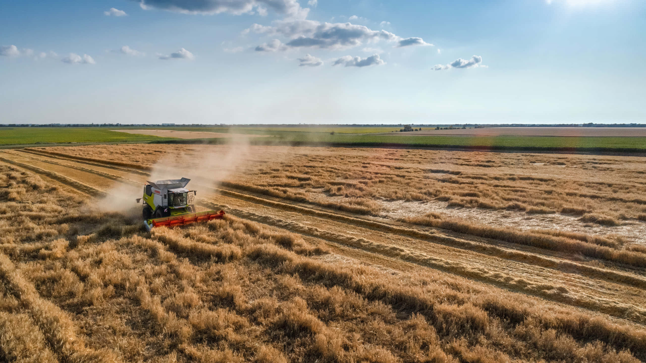 combine harvester, golden wheat field, bright blue sky, 2K Desktop Wallpaper