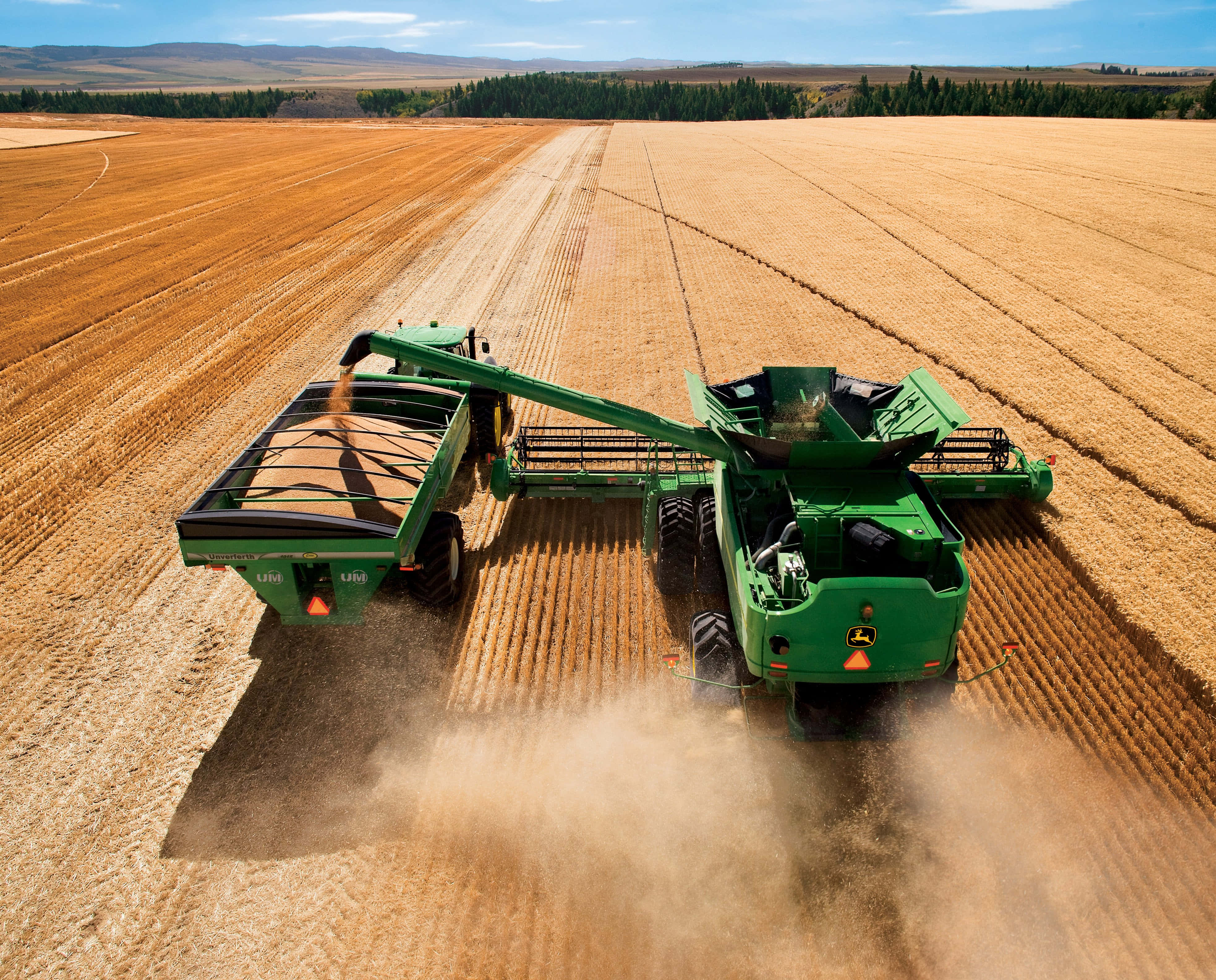 green combine harvester, golden wheat, vast sunlit field, 4K Desktop Wallpaper