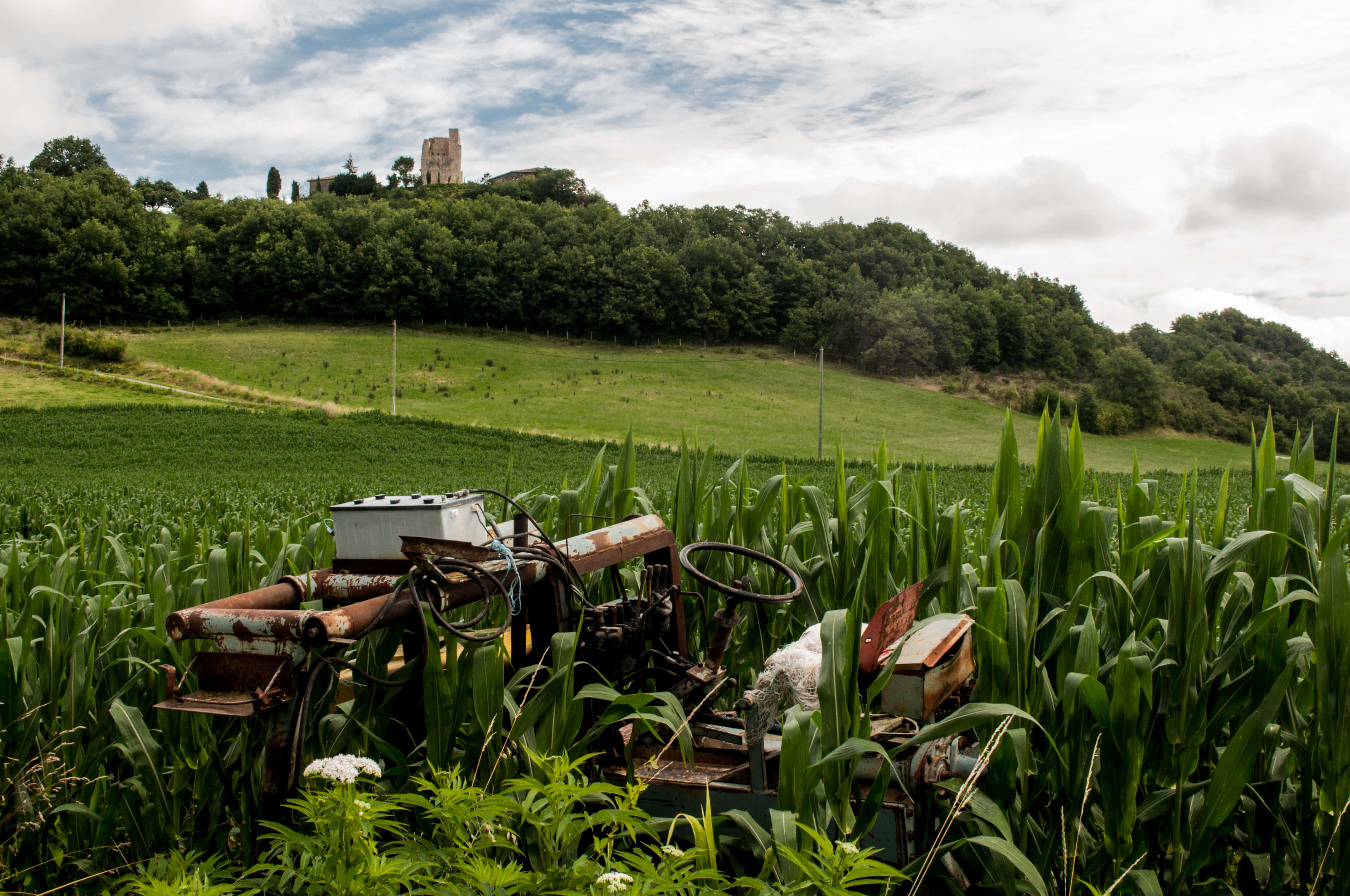 Rusty farm machinery, lush green cornfield, forested hill, 4K Desktop Wallpaper