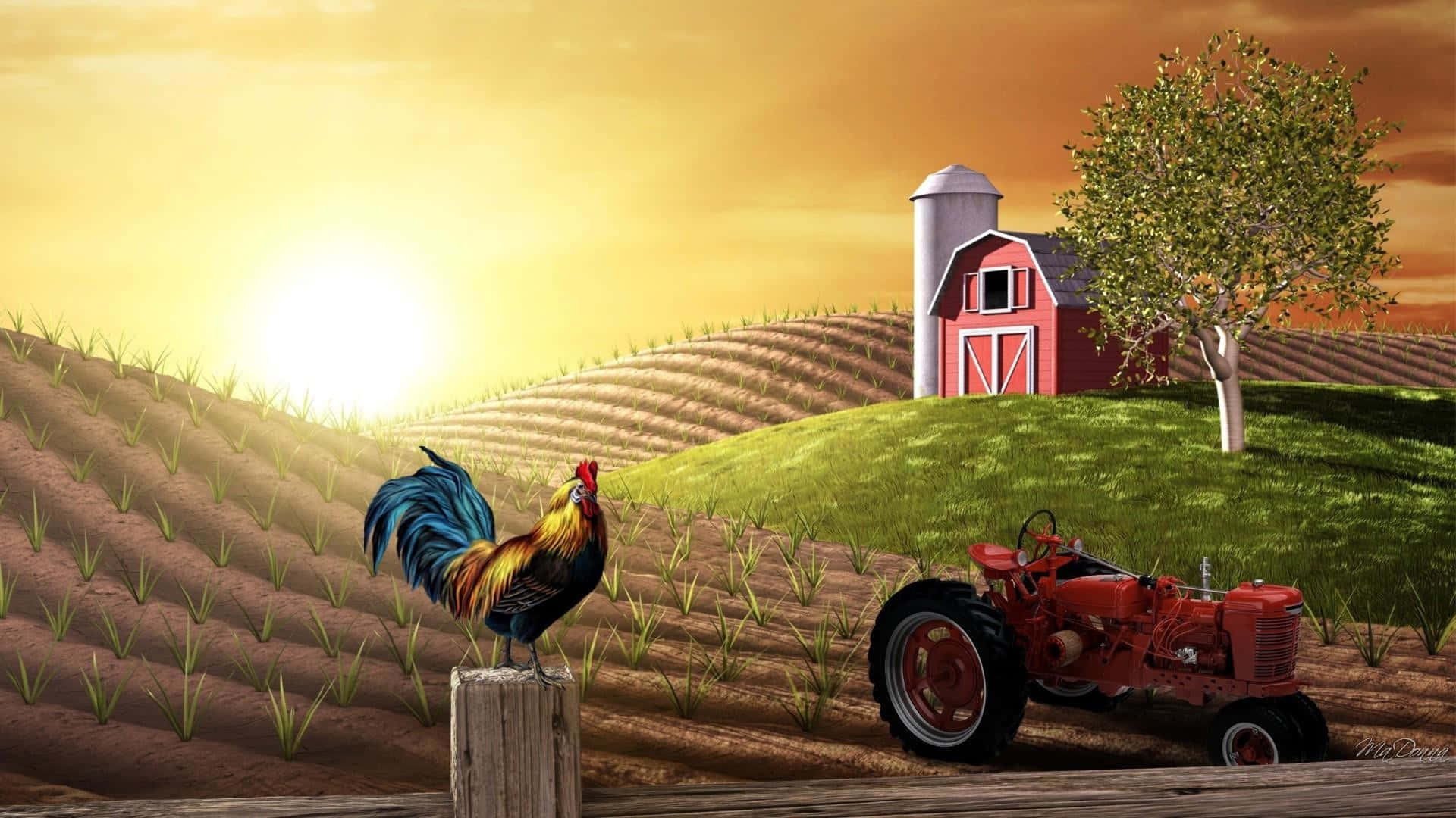 rooster, tractor, red tractor, Full HD Desktop Wallpaper