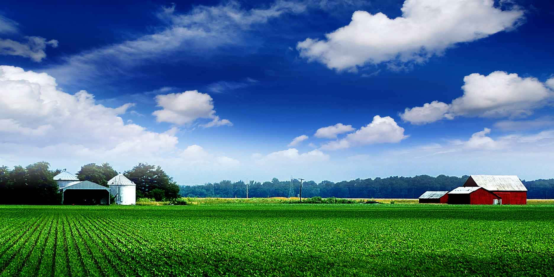 farming, 1872 x 936, green crop fields, HD Desktop Wallpaper