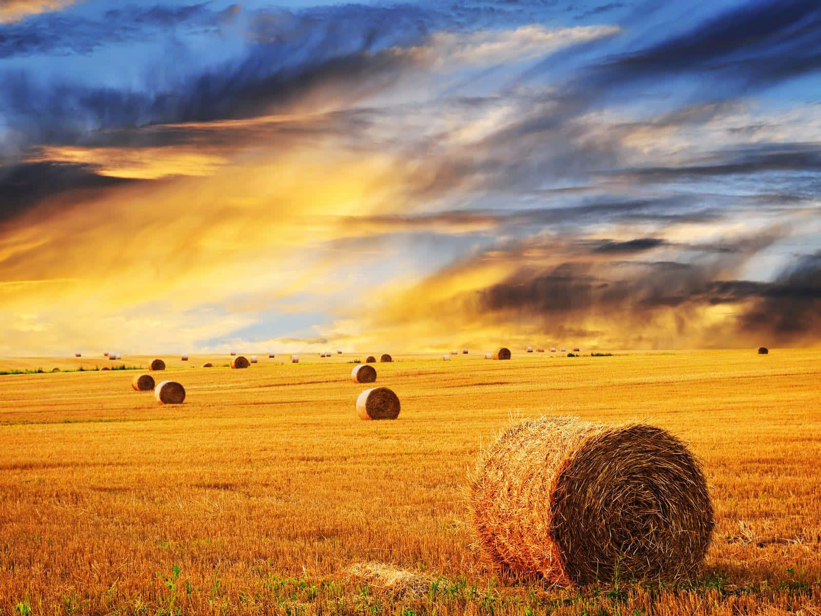 hay bales, wheat field, sunset sky, HD Desktop Wallpaper