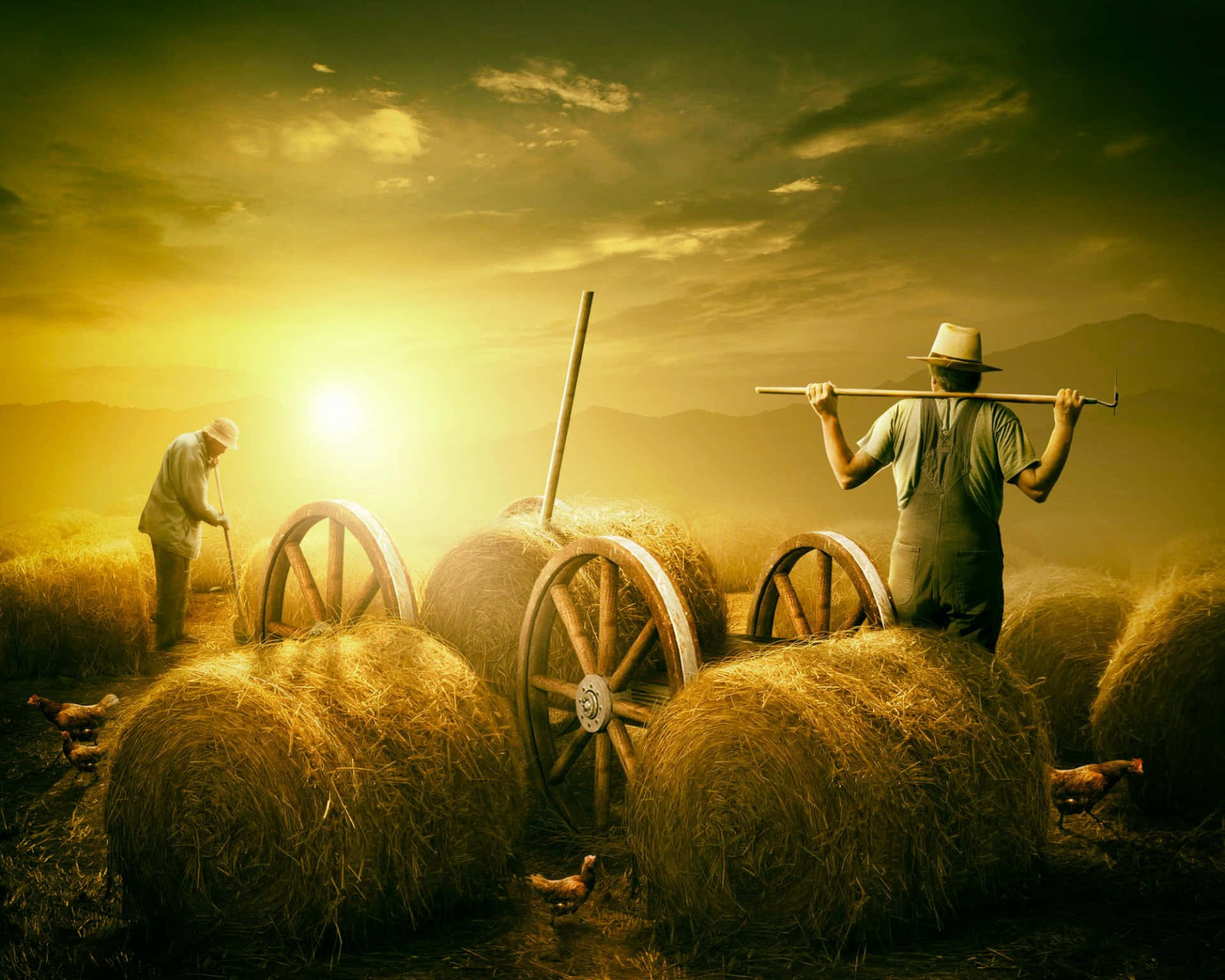 golden hour, sunset, golden field, Full HD Desktop Wallpaper