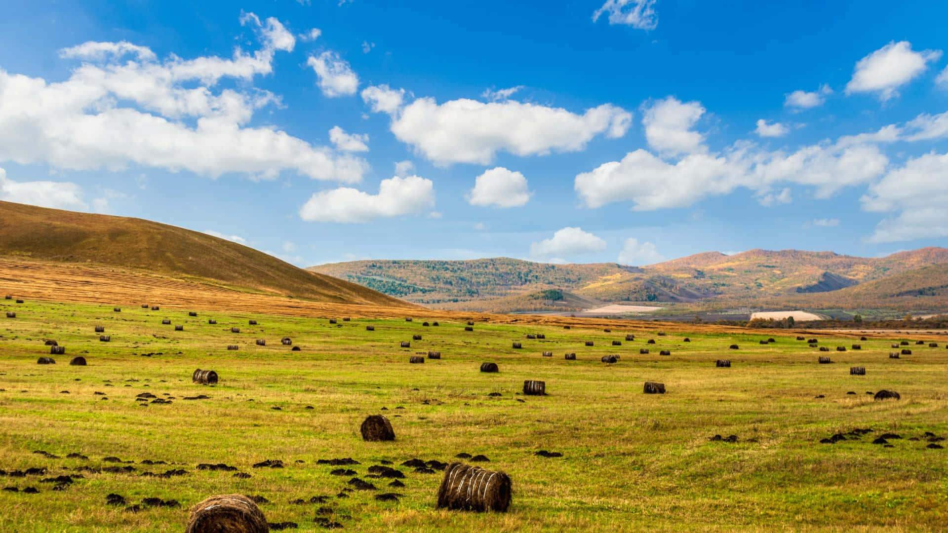 rolling farmland, hay bales, green field, Full HD Desktop Wallpaper