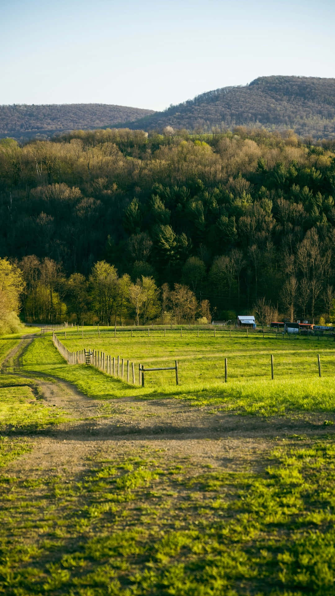 country farm landscape, sunlit dirt path, vibrant green pasture, Full HD Phone Wallpaper