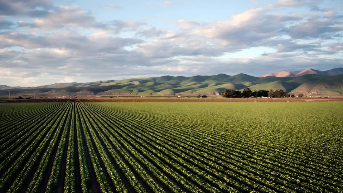 Farmland