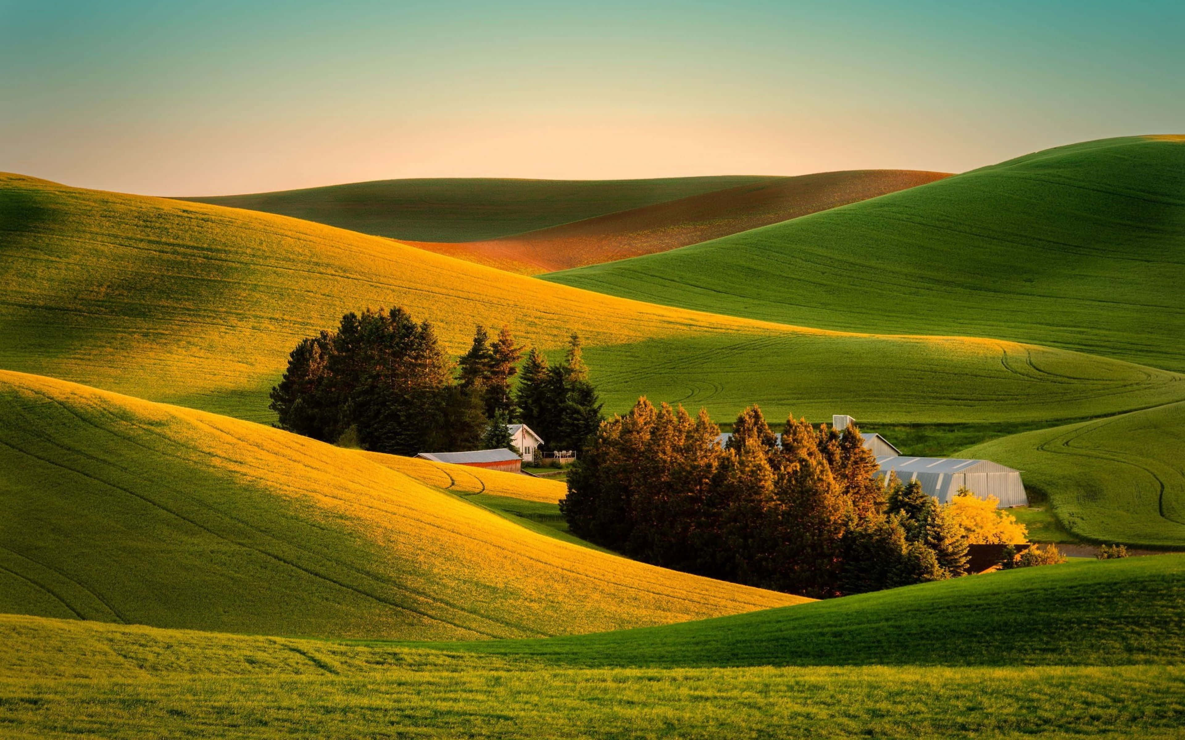 sunset, rolling green hills, trees, 4K Desktop Wallpaper