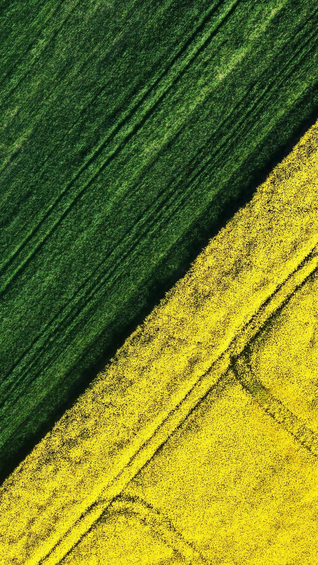 vibrant green, yellow crop fields, aerial view, Full HD Phone Wallpaper