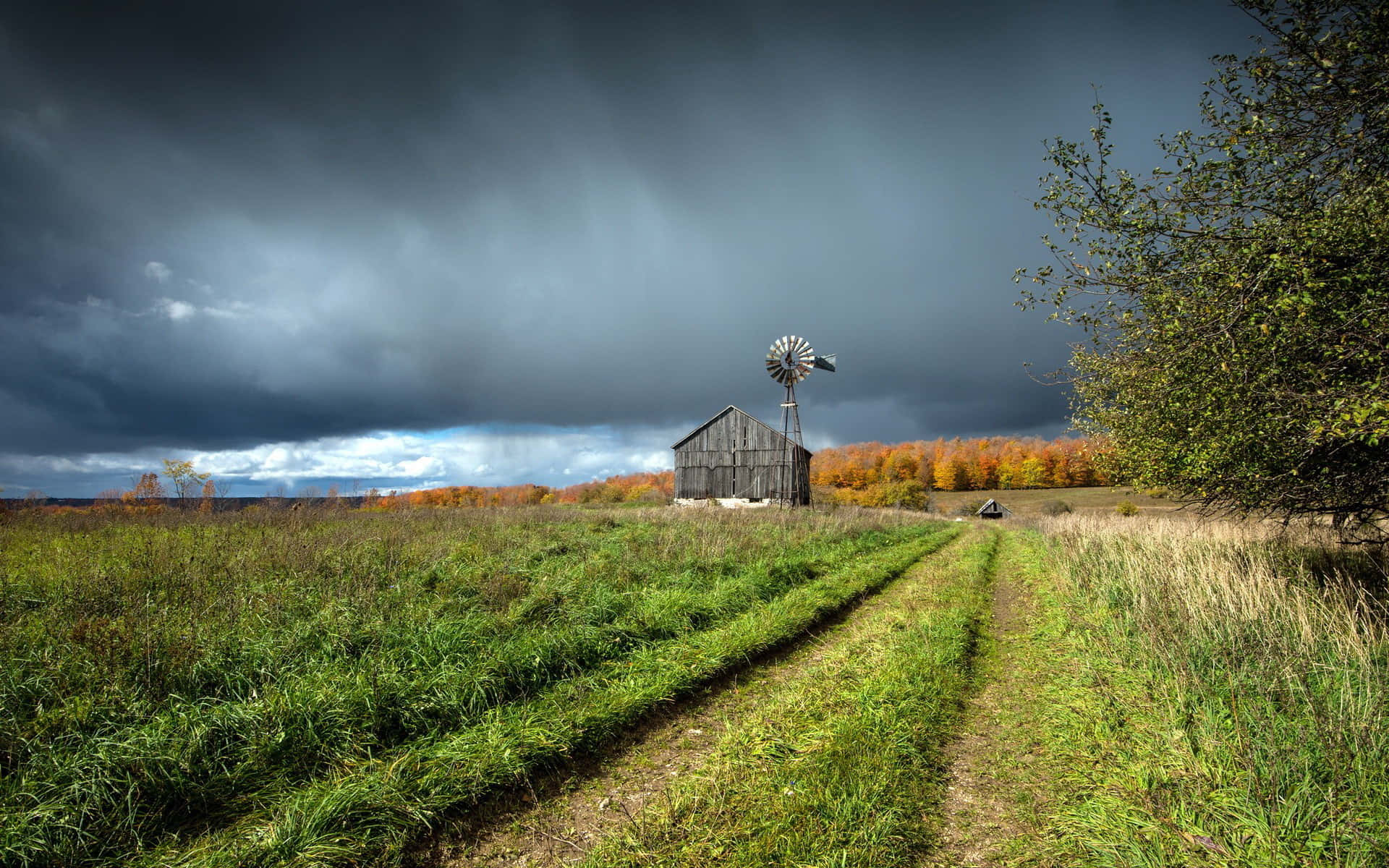 windmill, barn, autumn path, Full HD Desktop Wallpaper