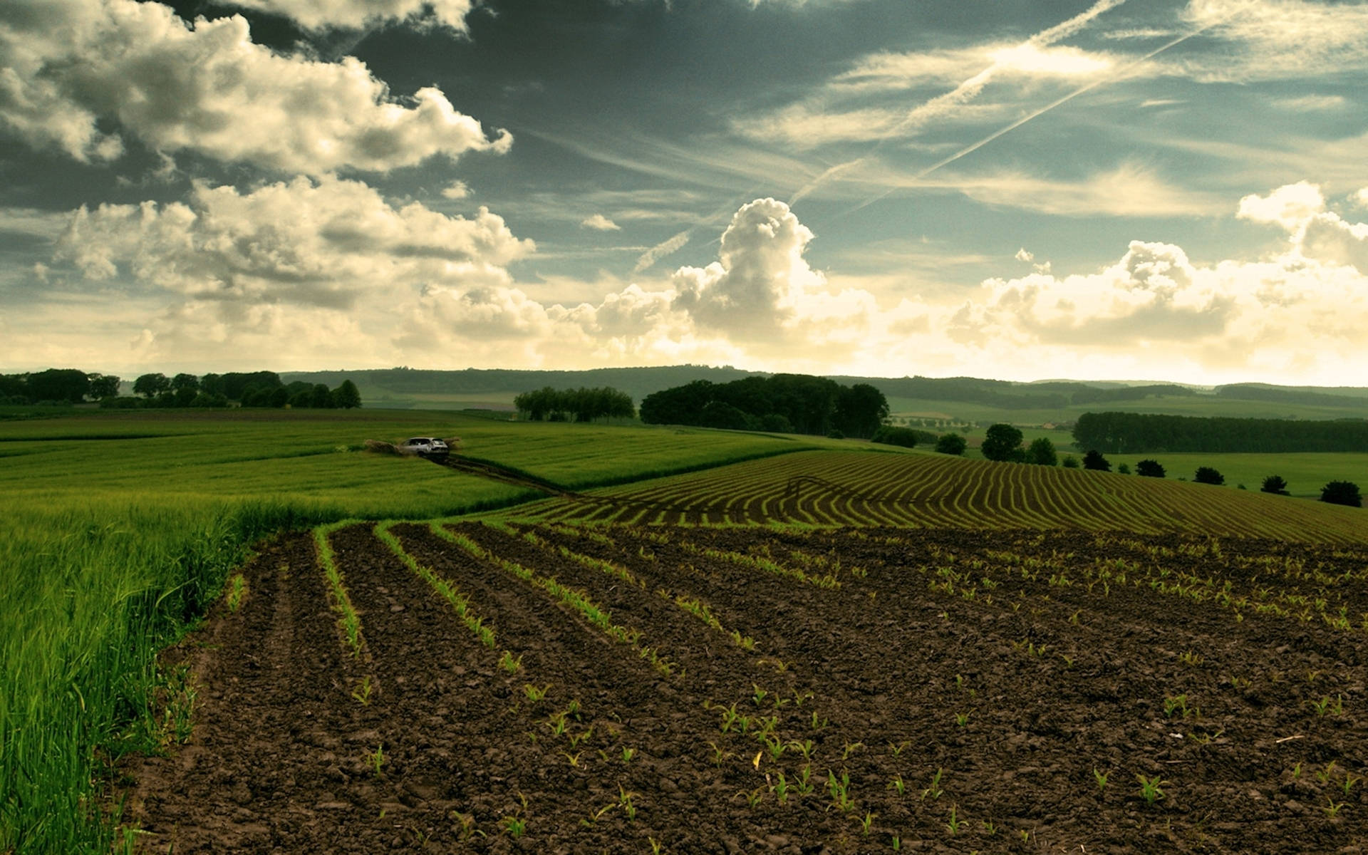 broad agriculture farmland, rows of young crops, tilled earth, Full HD Desktop Wallpaper