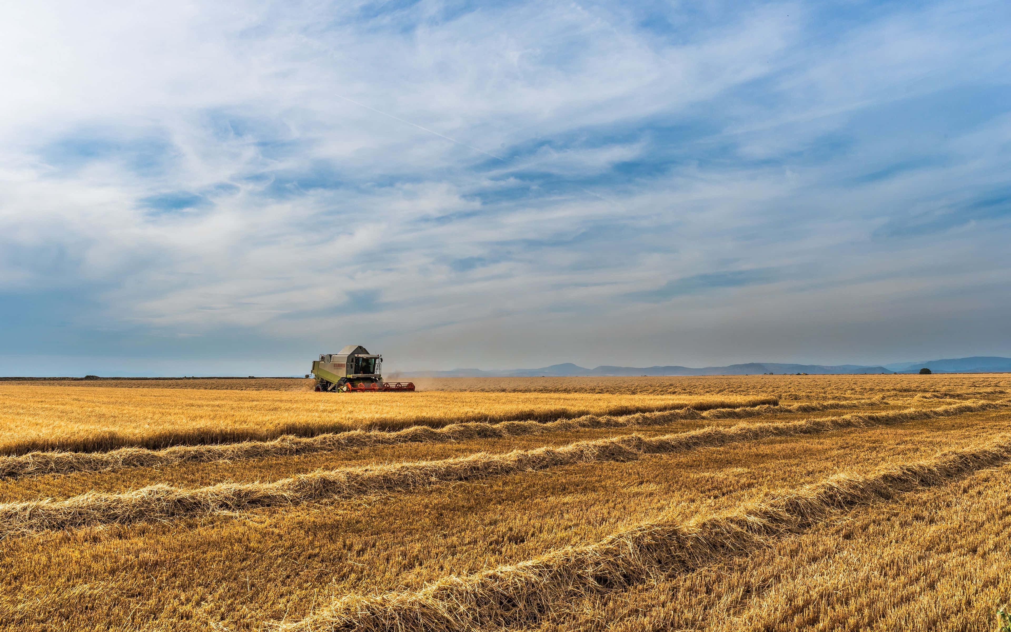 combine harvester, golden wheat field, wide blue sky, 4K Desktop Wallpaper