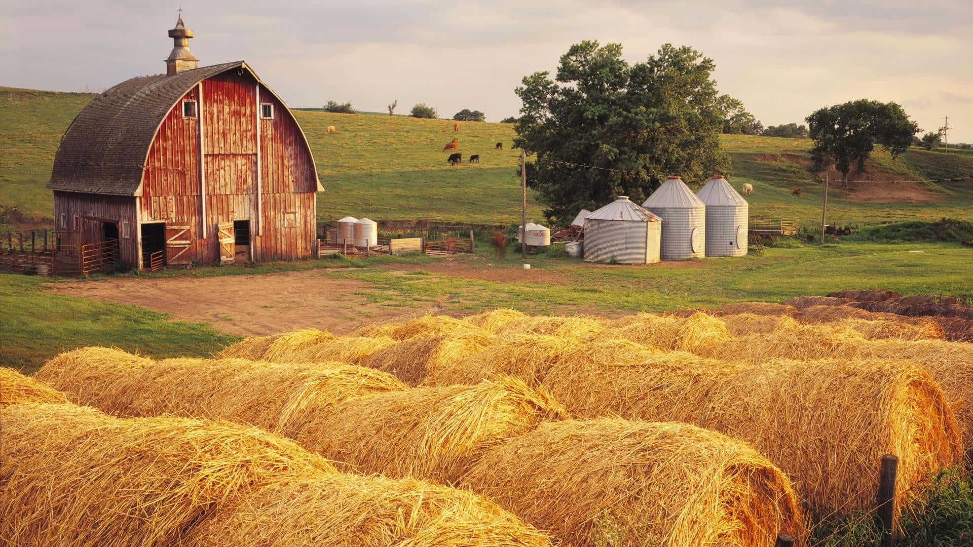 rustic barn, golden hay bales, weathered red barn, Full HD Desktop Wallpaper