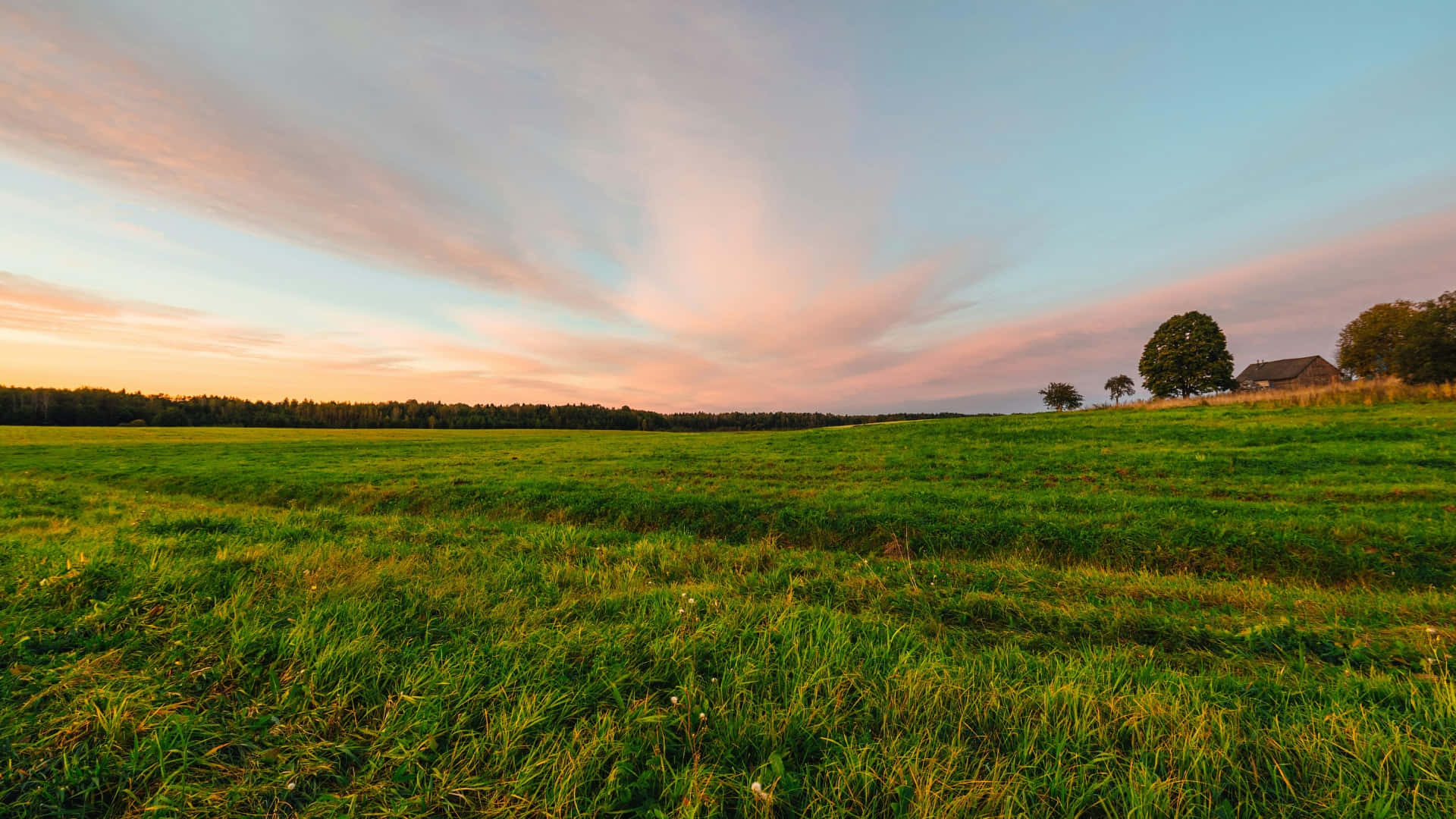 sunset, green farmland, pink and blue sunset sky, Full HD Desktop Wallpaper