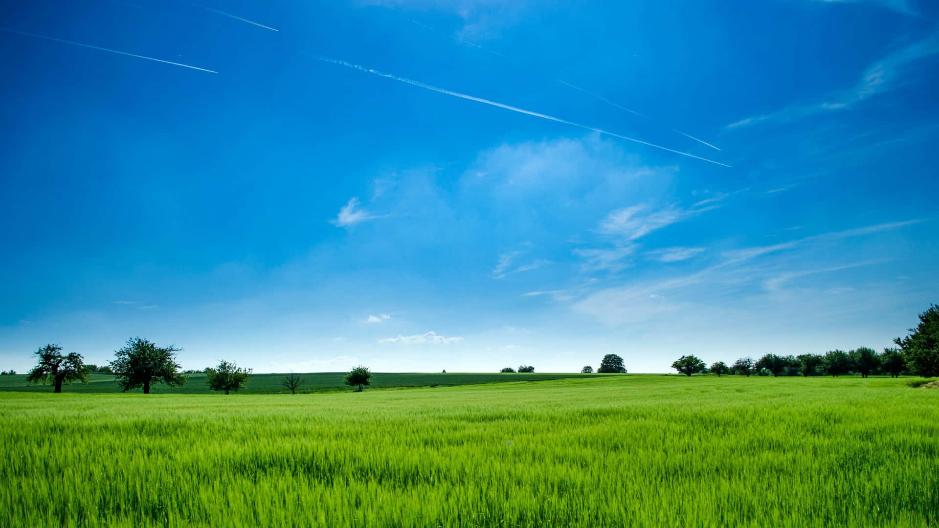 emerald green field, brilliant blue sky, wispy clouds, Full HD Desktop Wallpaper