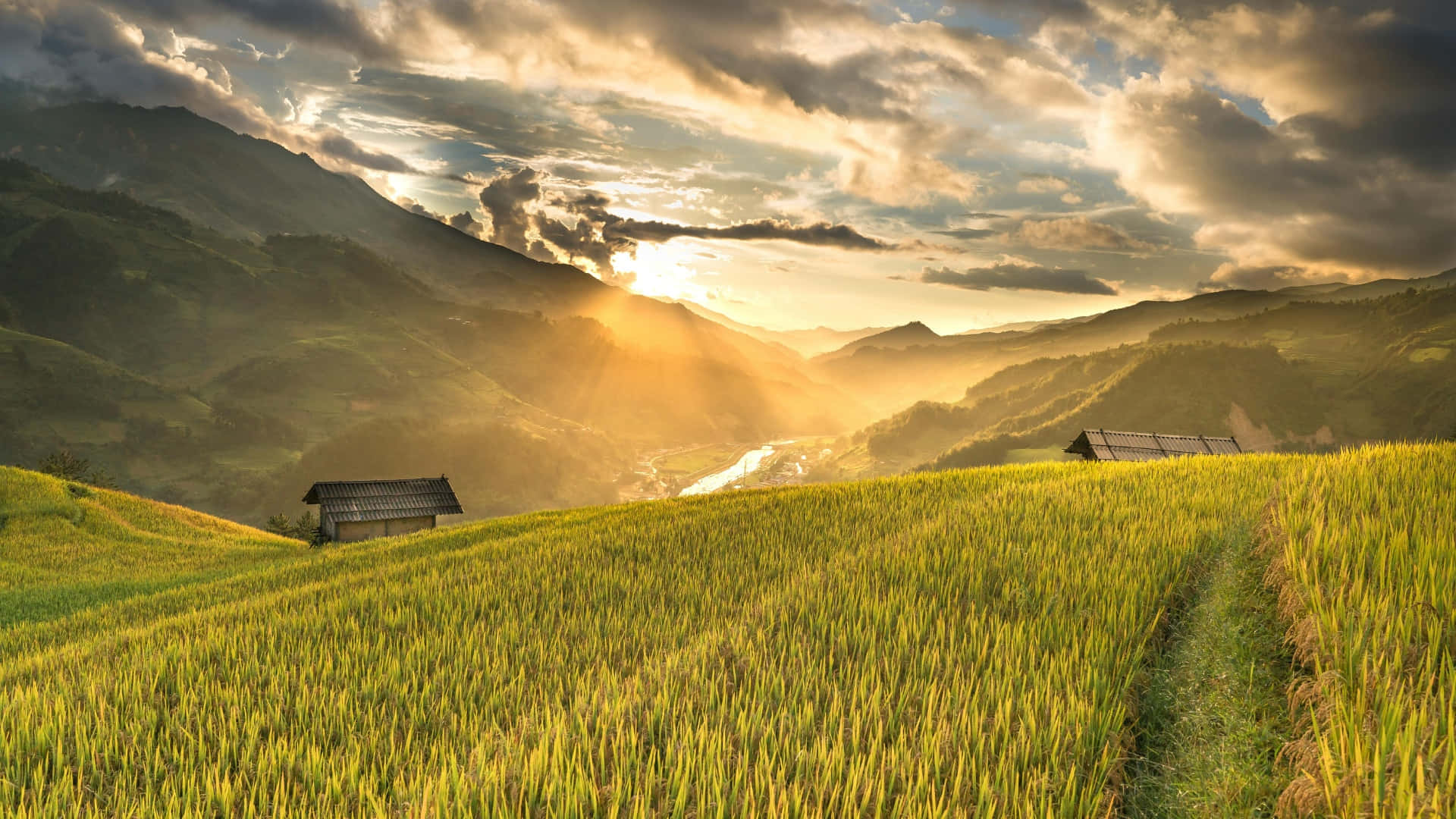 Golden Farmland Sunrise, sunbeams, dramatic clouds, Full HD Desktop Wallpaper