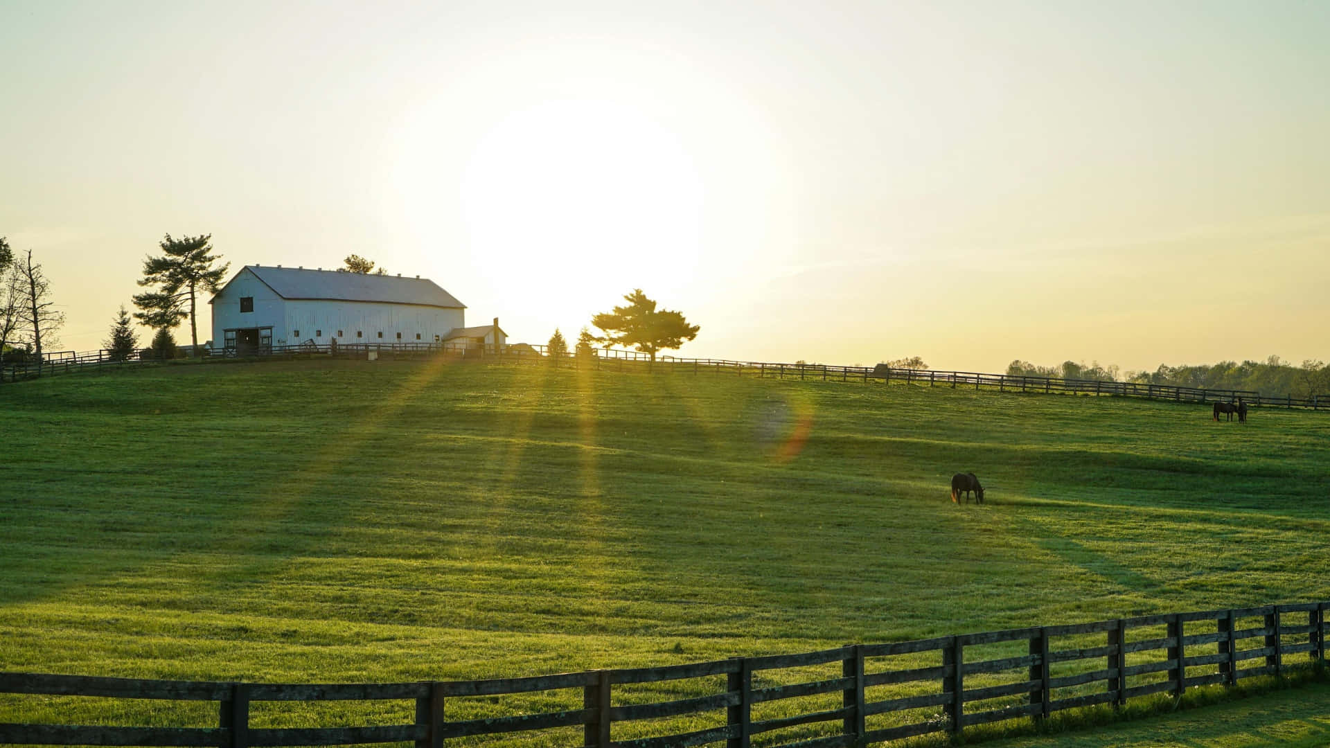 sunlit green hill, white barn, golden rays, Full HD Desktop Wallpaper