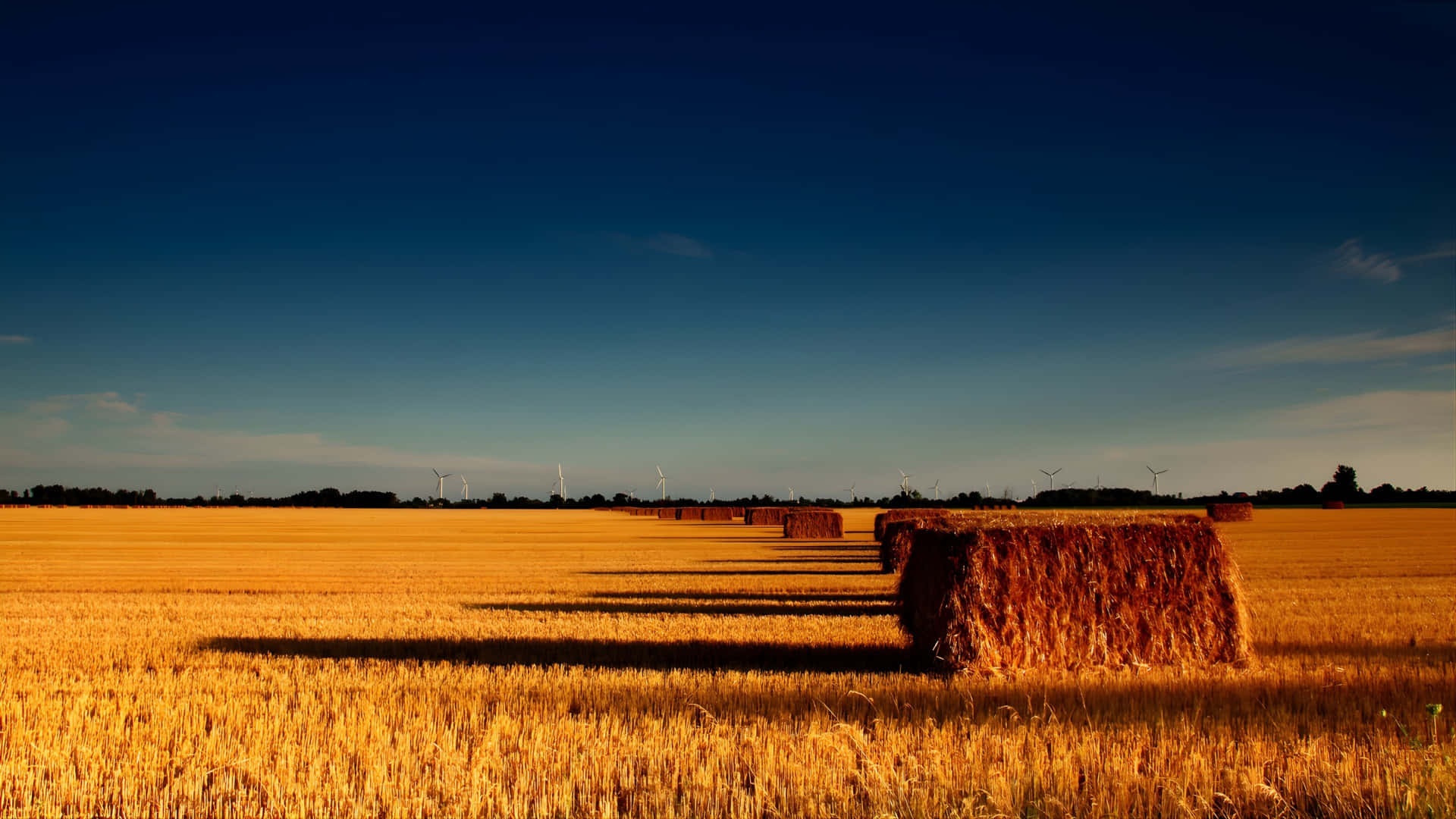 golden wheat field, golden hay bales, sunlit wheat field, Full HD Desktop Wallpaper