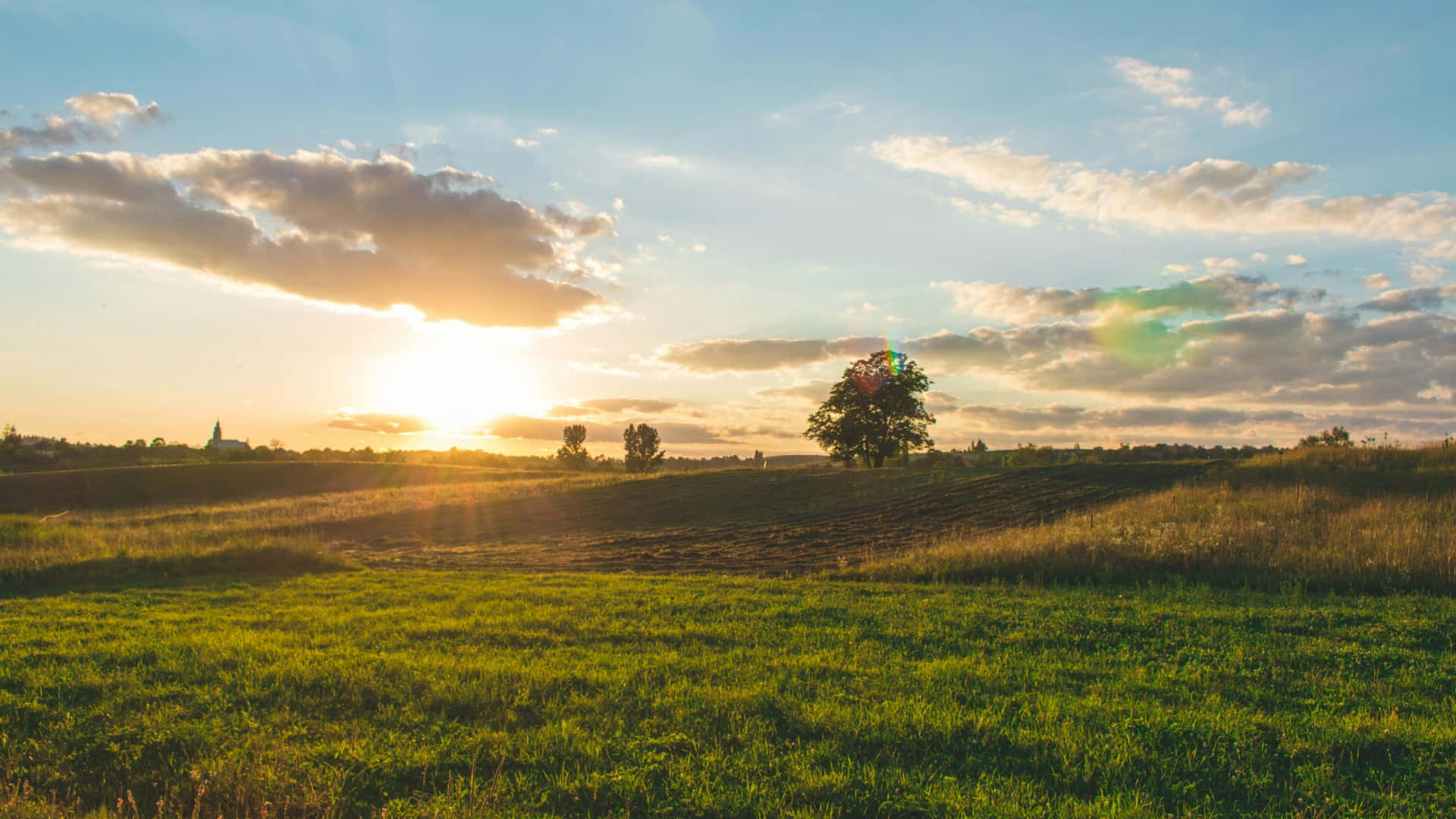 sunset, green farmland, grassy field, Full HD Desktop Wallpaper