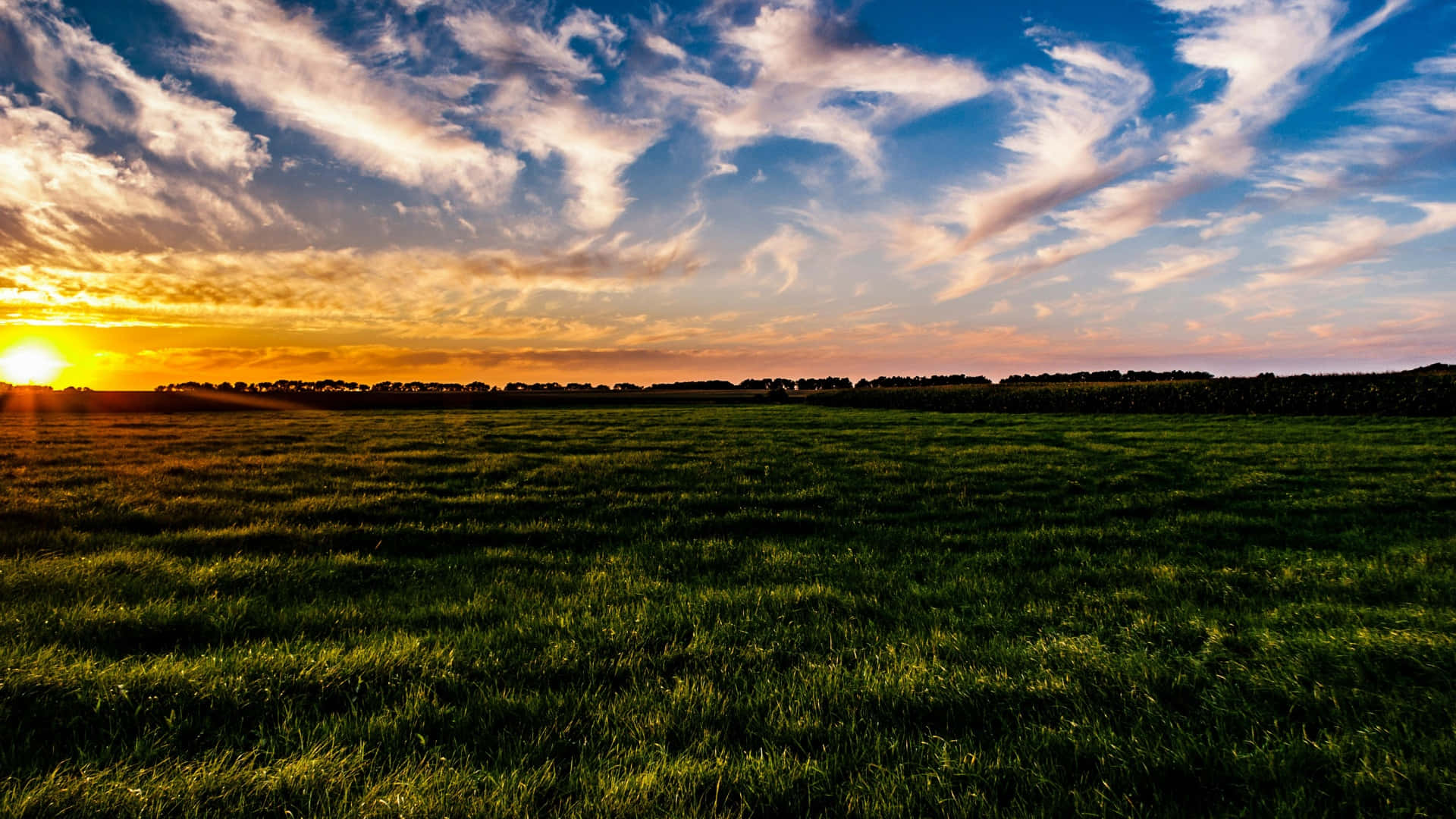 sunset, green farmland, dramatic sky, Full HD Desktop Wallpaper