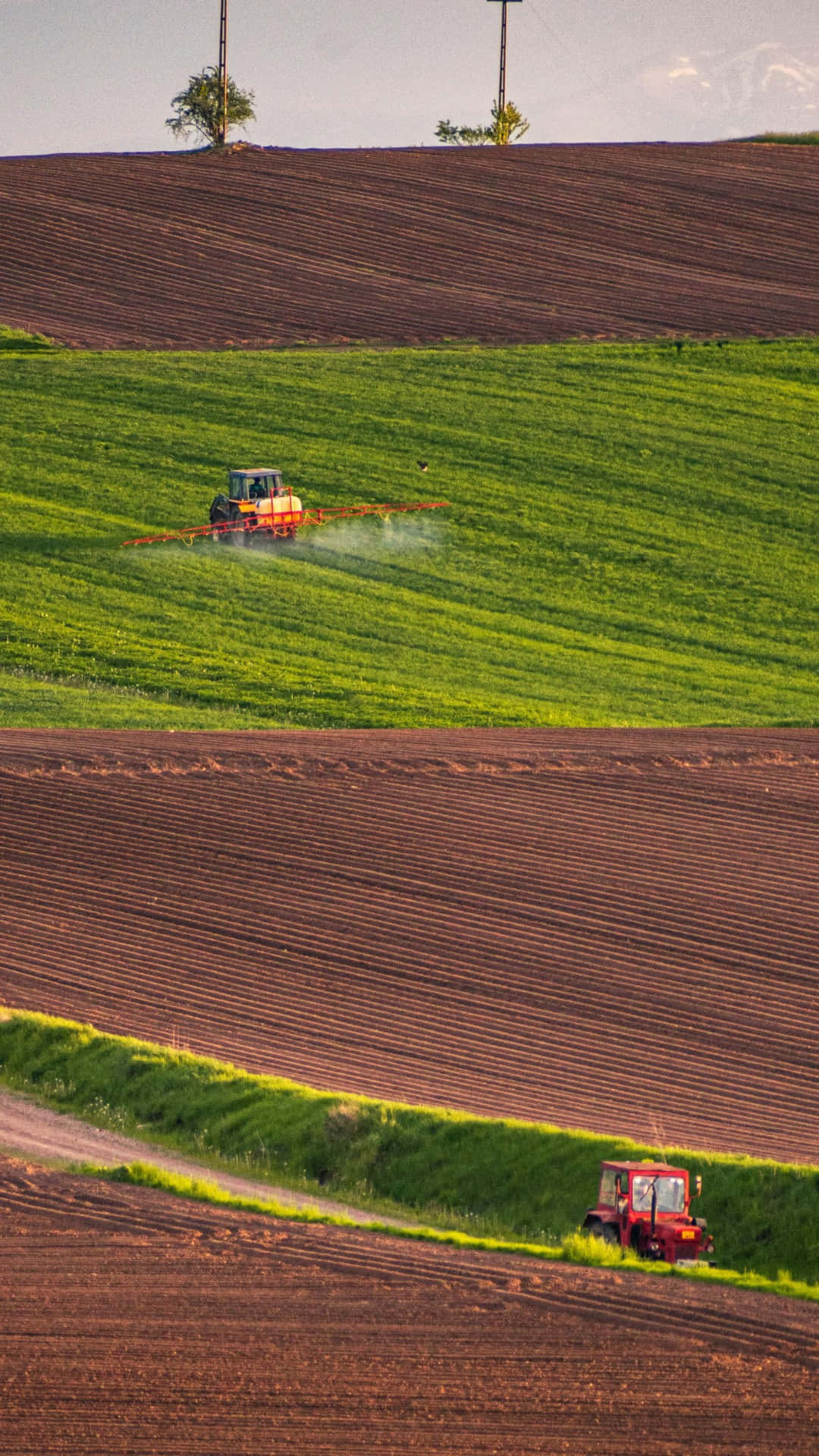 red tractor, vibrant green field, dirt path, Full HD Phone Wallpaper