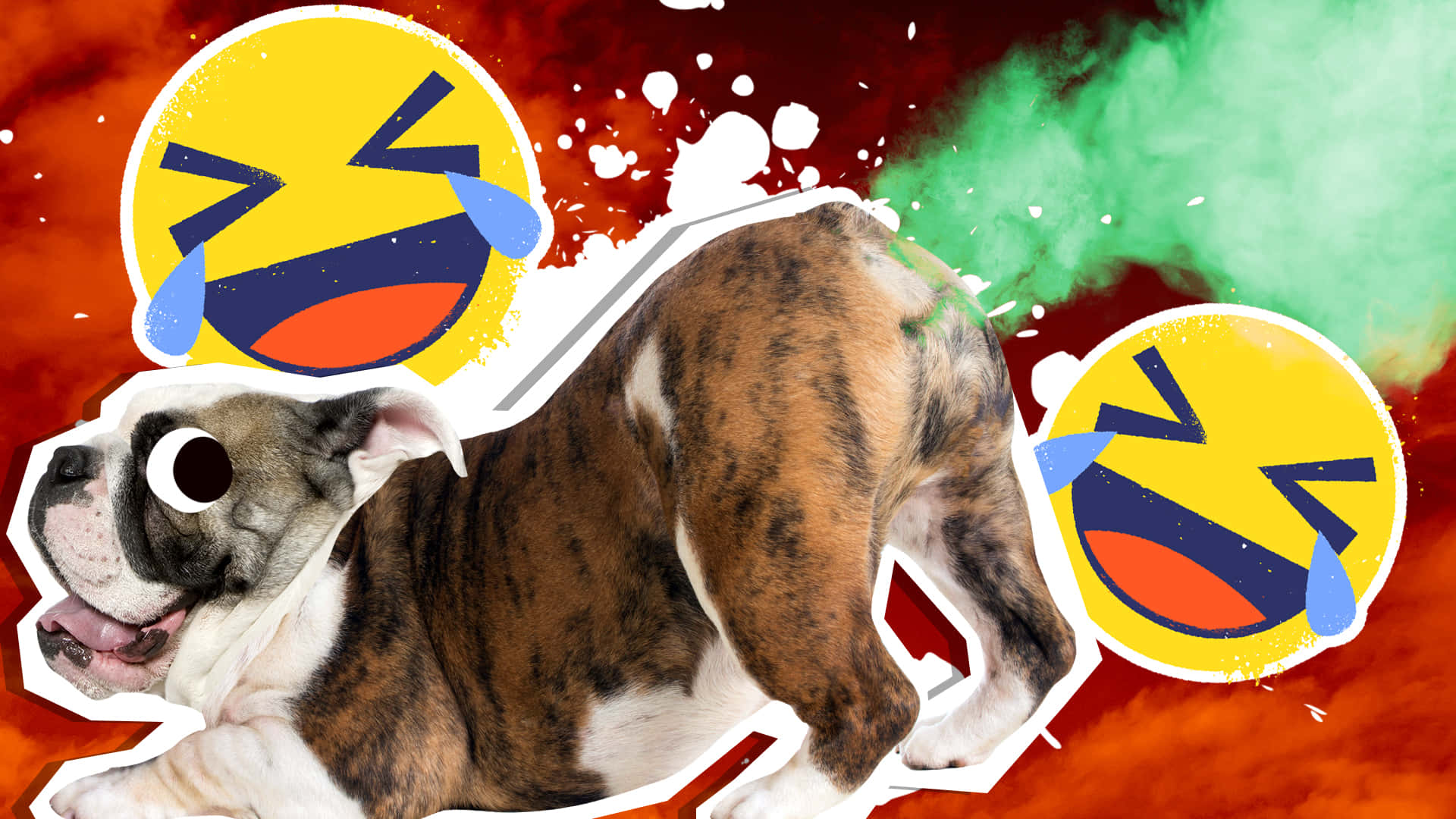 brindle and white bulldog, emoji faces, colorful paint splatters, Full HD Desktop Wallpaper