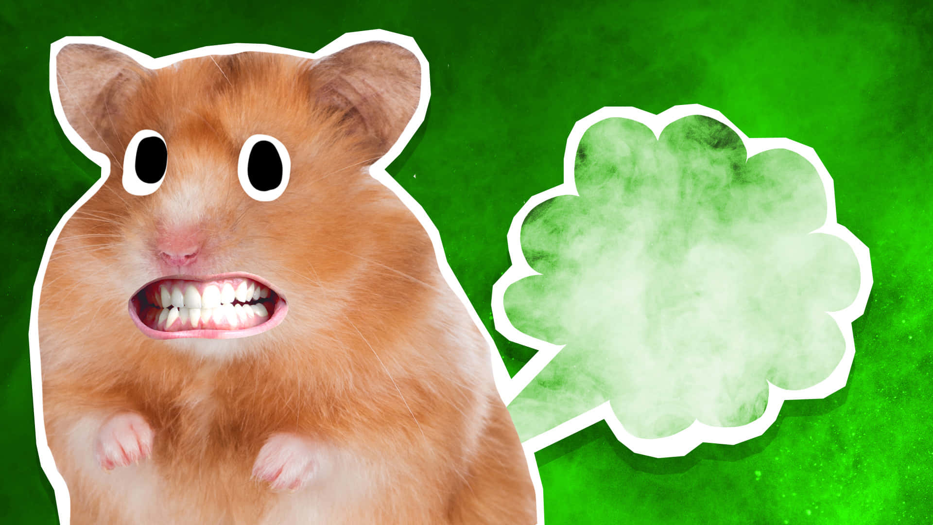 hamster, orange hamster, exaggerated teeth, Full HD Desktop Wallpaper