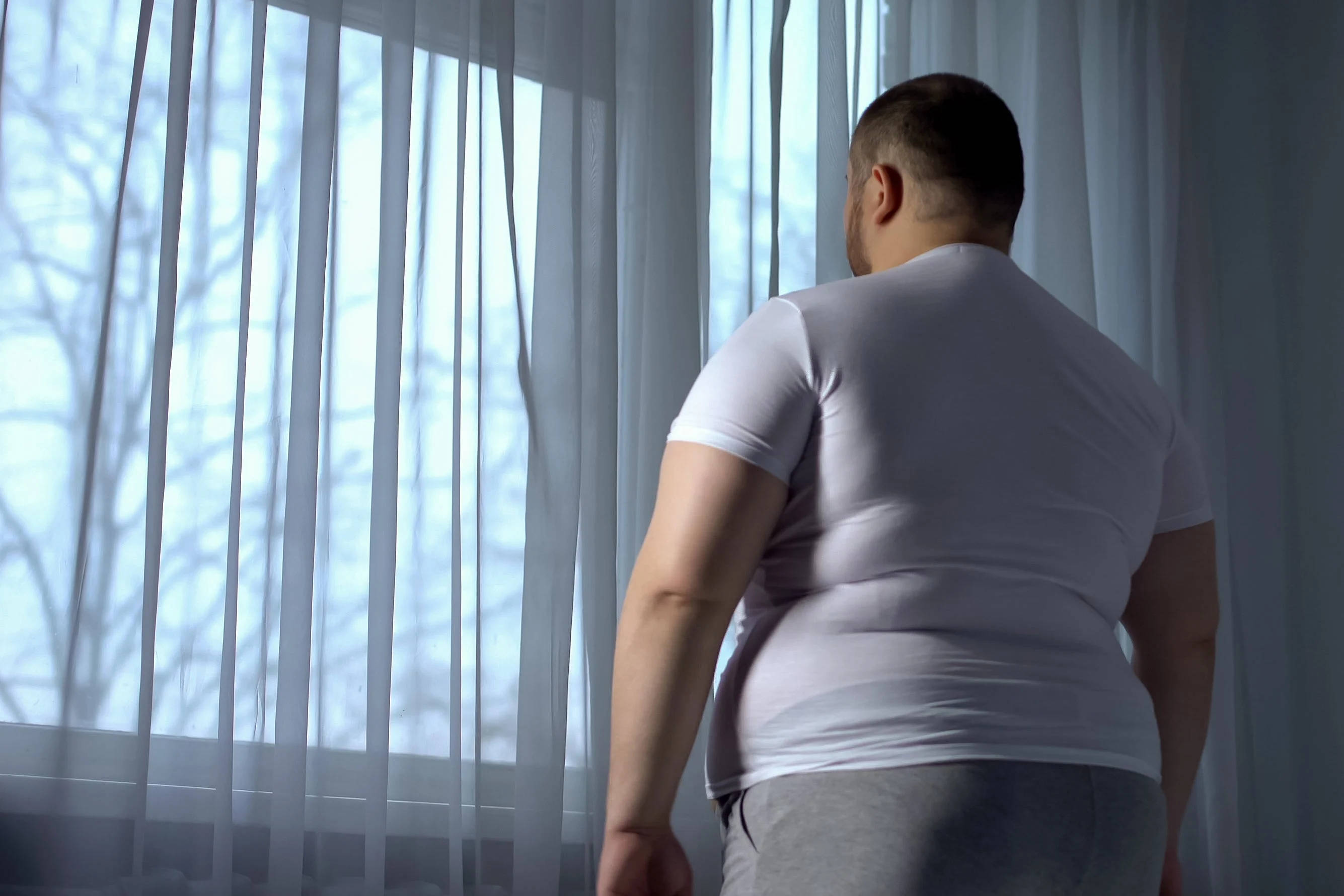 white t-shirt, sheer curtains, bare tree branches, 2K Desktop Wallpaper