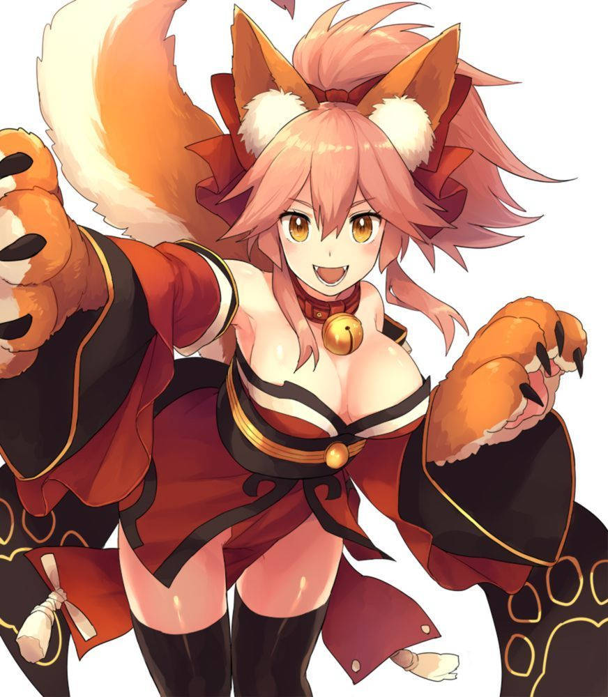 Tamamo No Mae, Fate Grand Order, anime fox girl, SD Phone Wallpaper