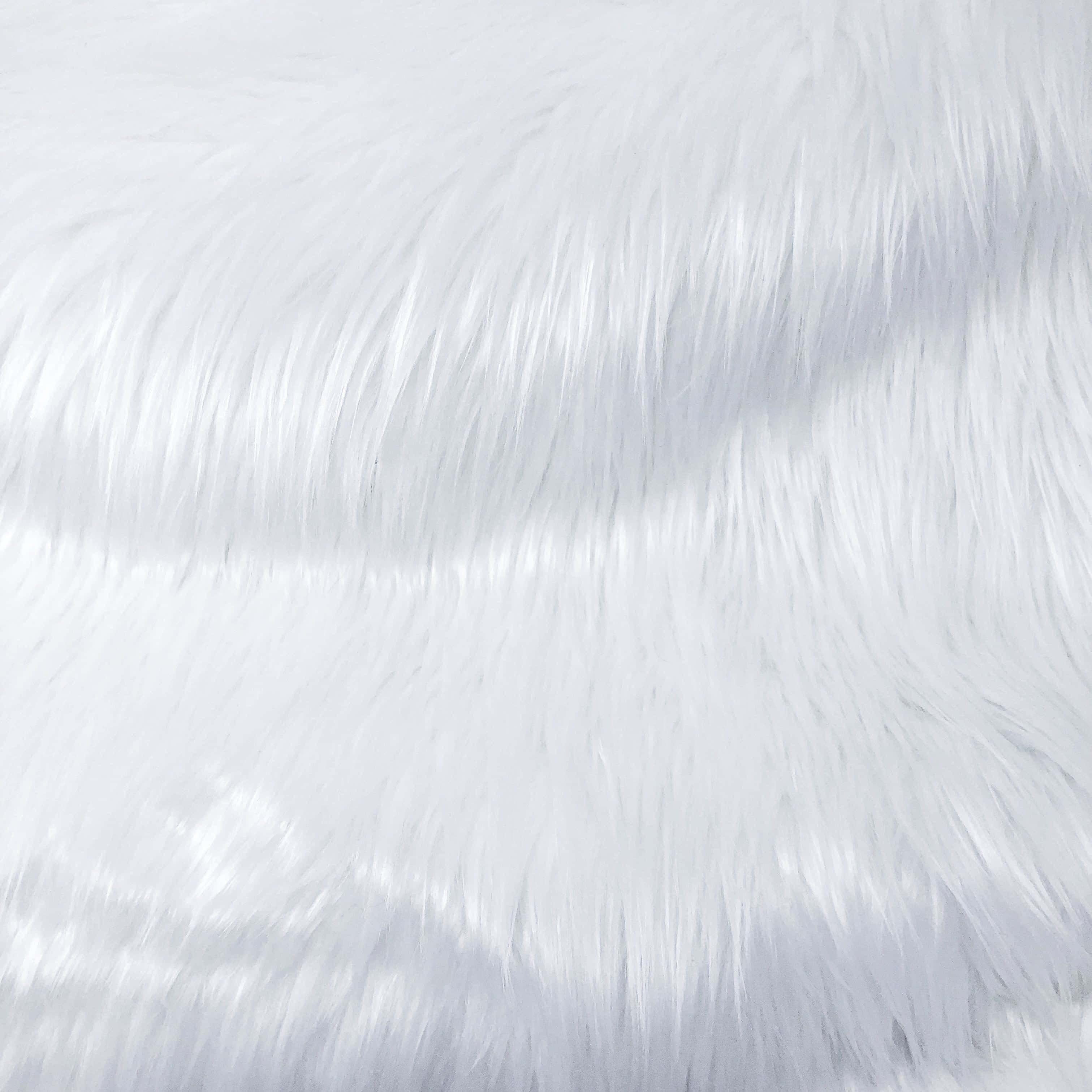 white faux fur, soft white faux fur, fluffy texture, 2K Desktop Wallpaper