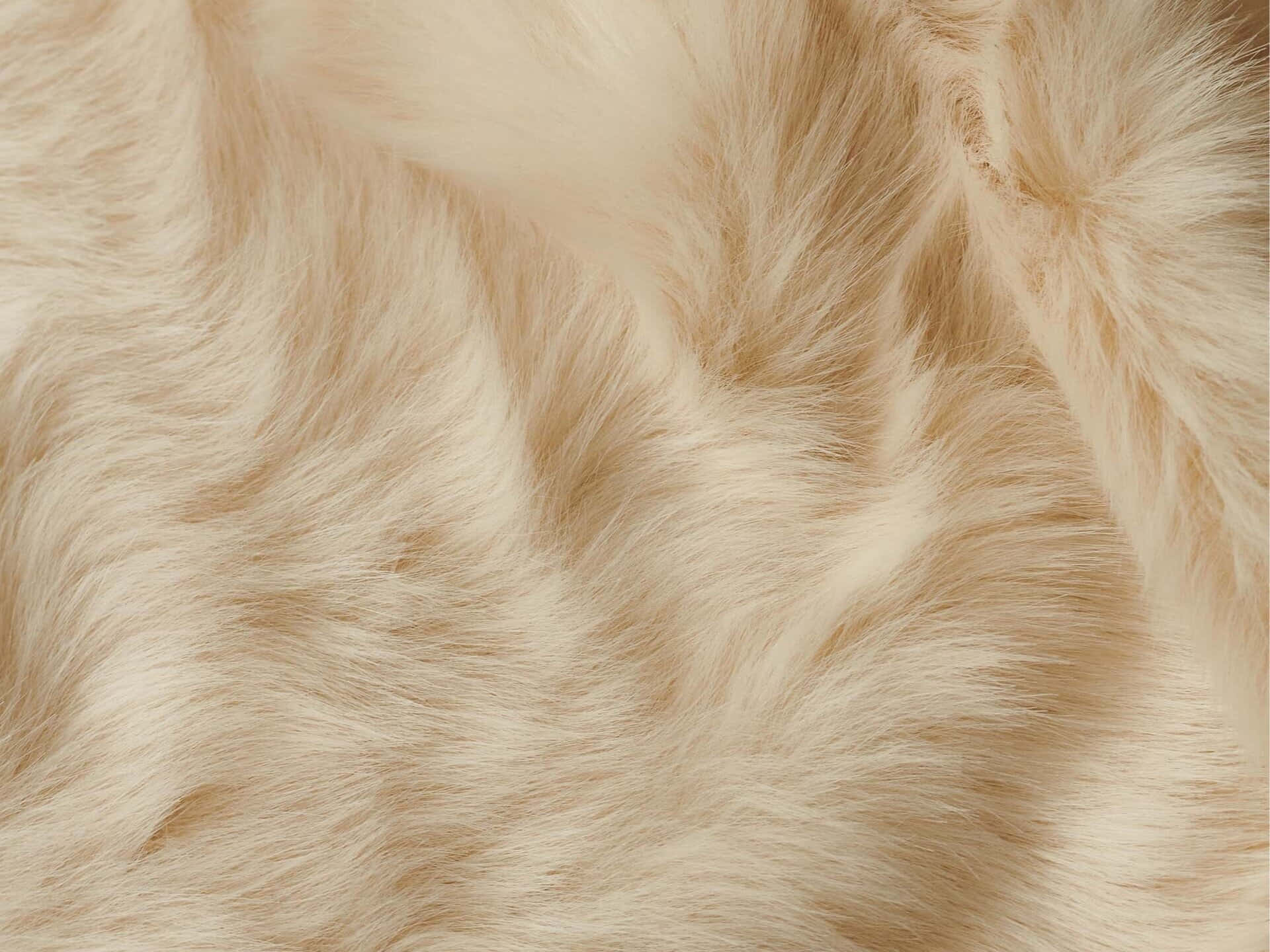 beige, faux fur, soft, Full HD Desktop Wallpaper