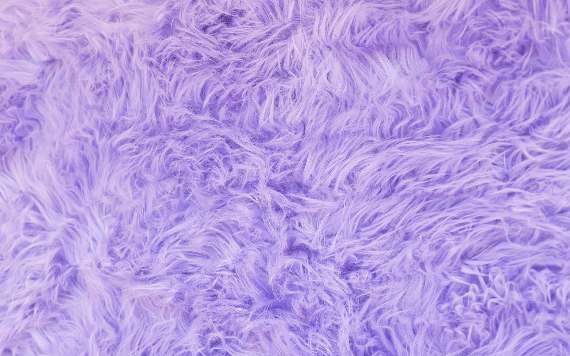 lavender, faux fur, texture, HD Desktop Wallpaper