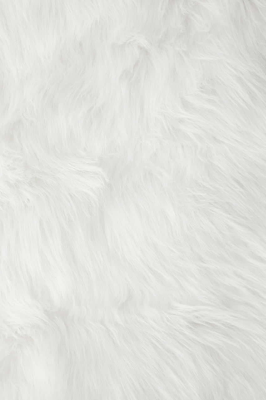 white faux fur, soft fluffy, textured strands, SD Phone Wallpaper