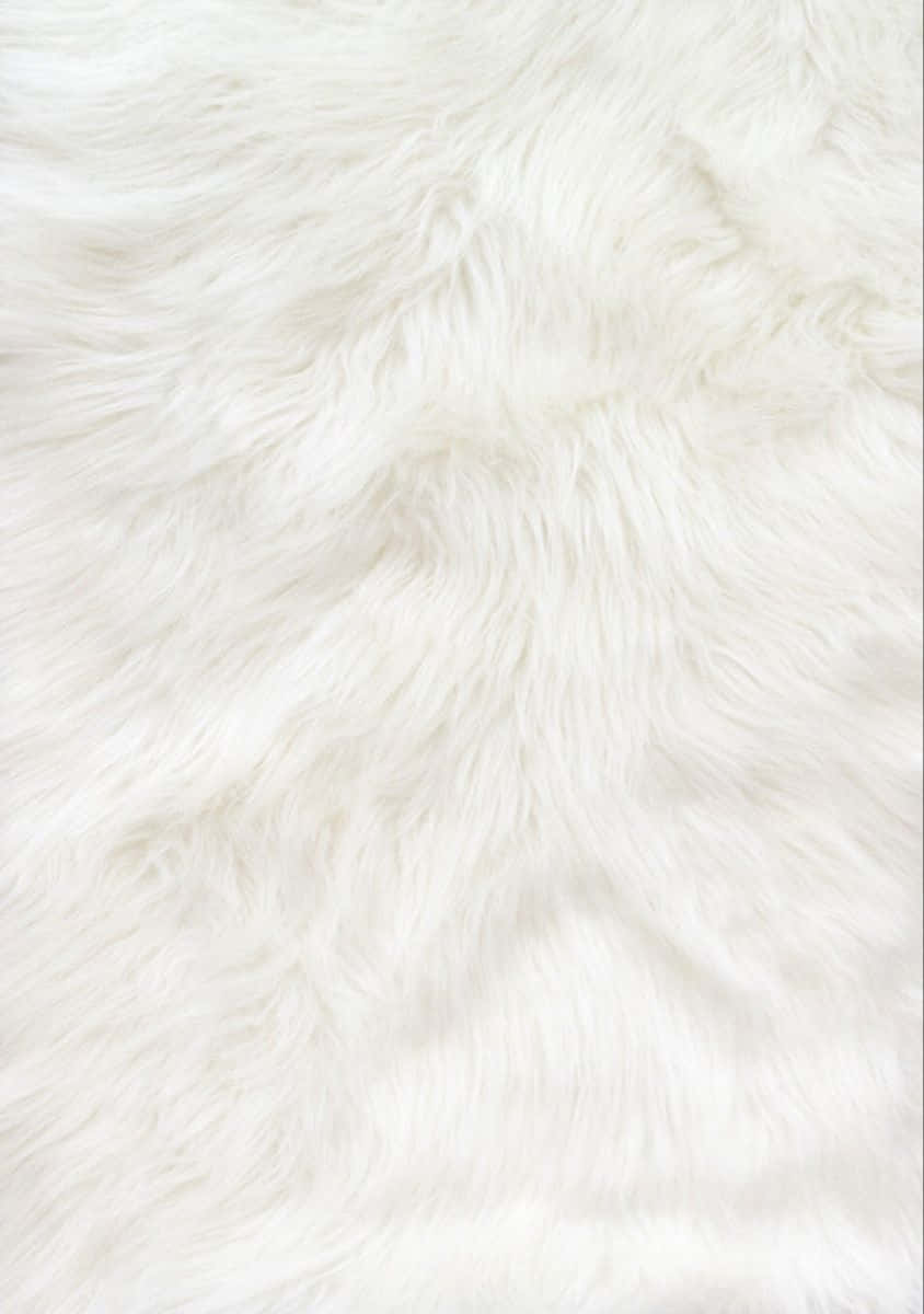 white faux fur, soft fluffy, gentle shadows, SD Phone Wallpaper
