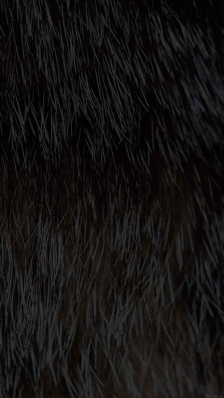 closeup, black faux fur, dark fur, HD Phone Wallpaper