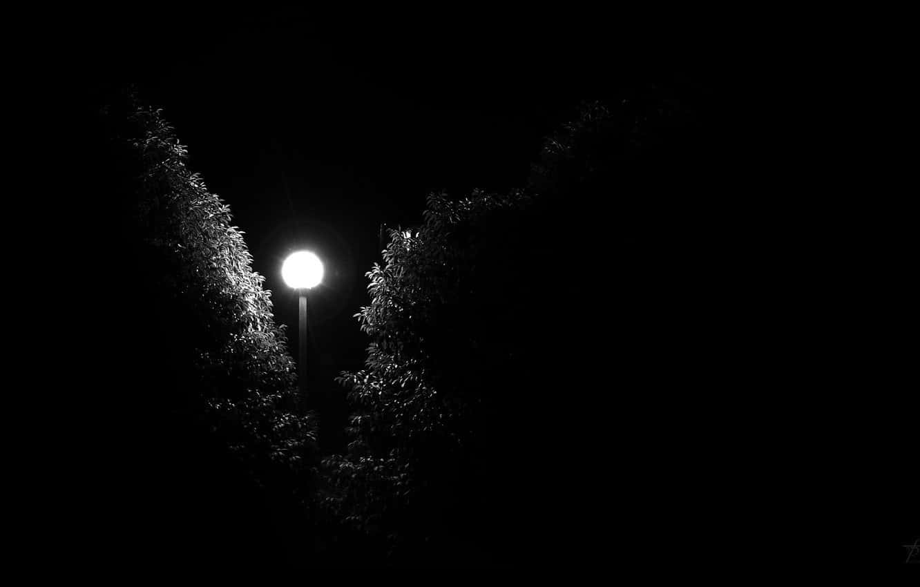Fear Street, streetlamp, silhouetted trees, HD Desktop Wallpaper