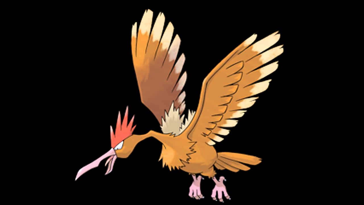 Fearow, fiery orange, spiky red crest, HD Desktop Wallpaper