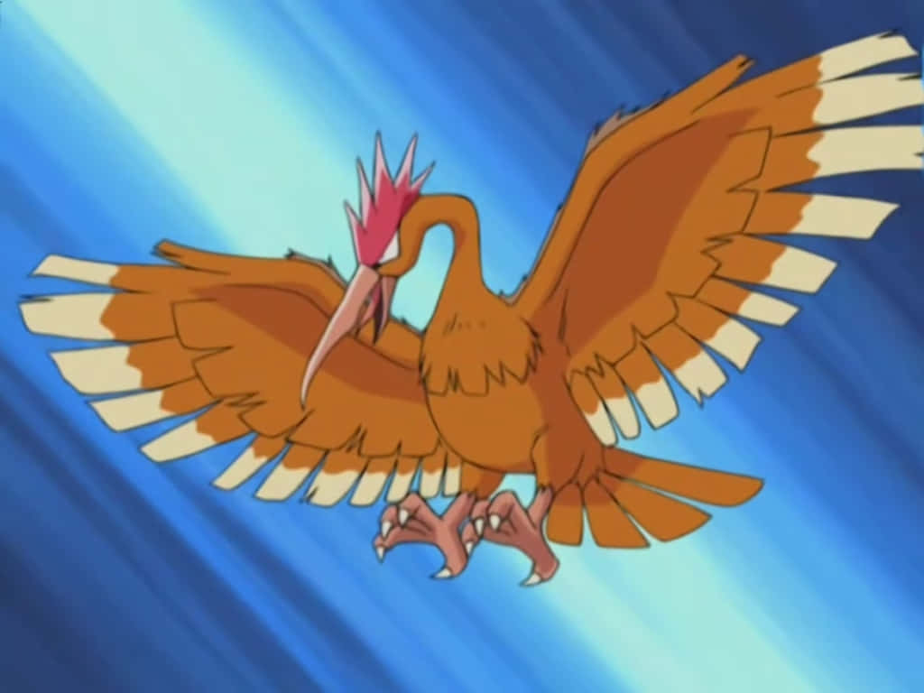 Fearow, orange bird, white-tipped wings, SD Desktop Wallpaper