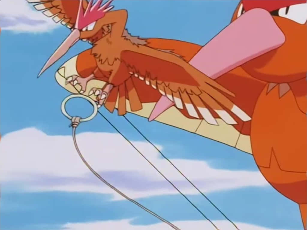 Fearow, fiery orange, bright blue sky, SD Desktop Wallpaper
