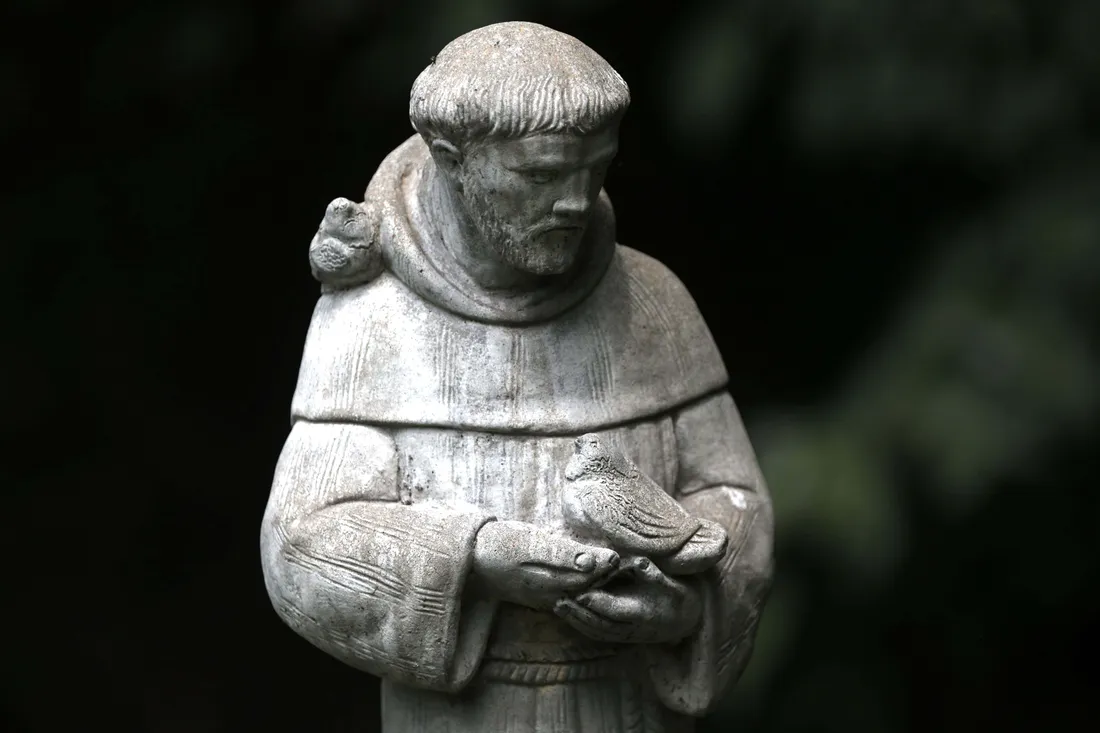 Feast Of St Francis Of Assisi