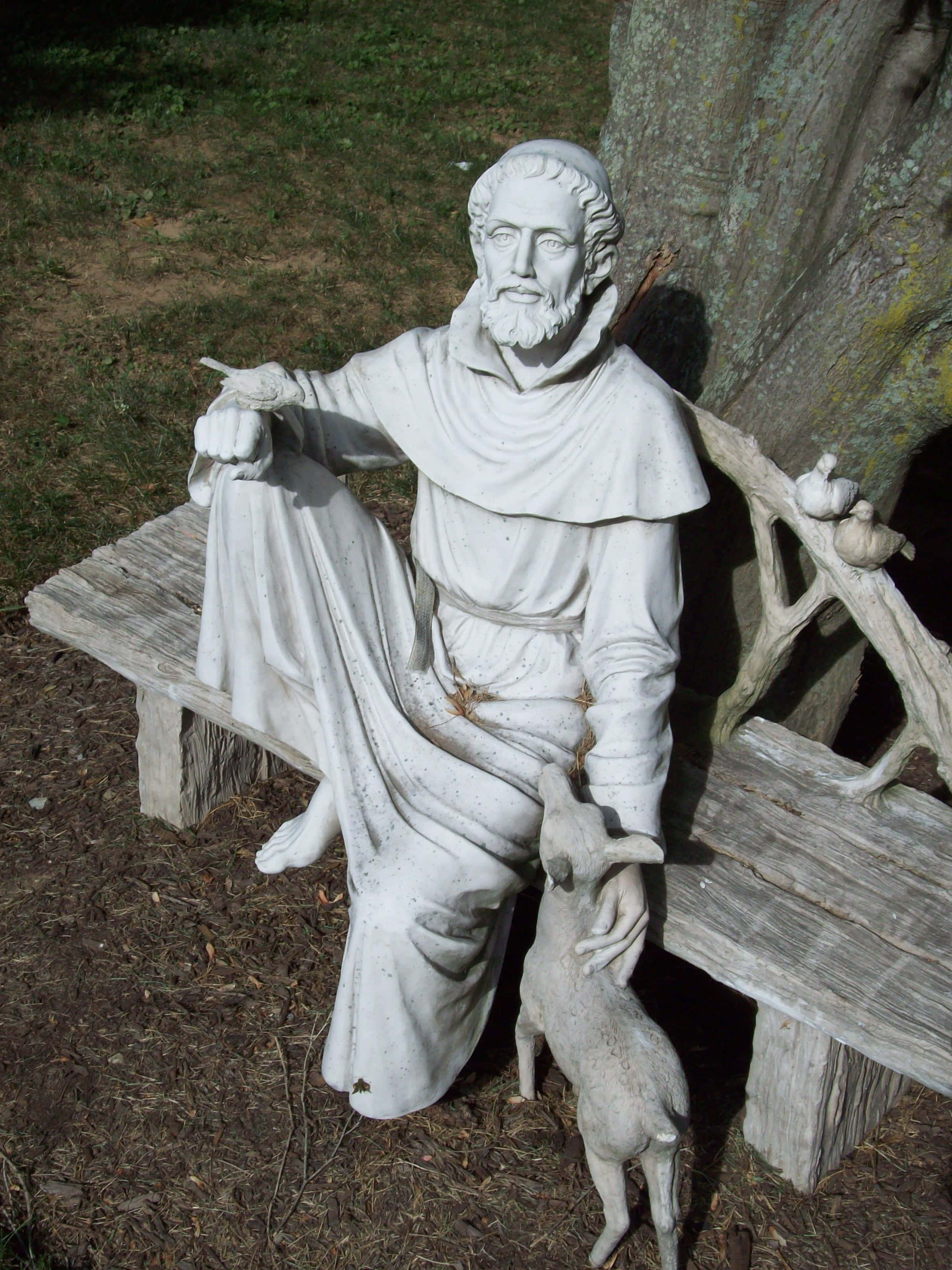 St Francis of Assisi, bearded saint, monk robes, 2K Phone Wallpaper