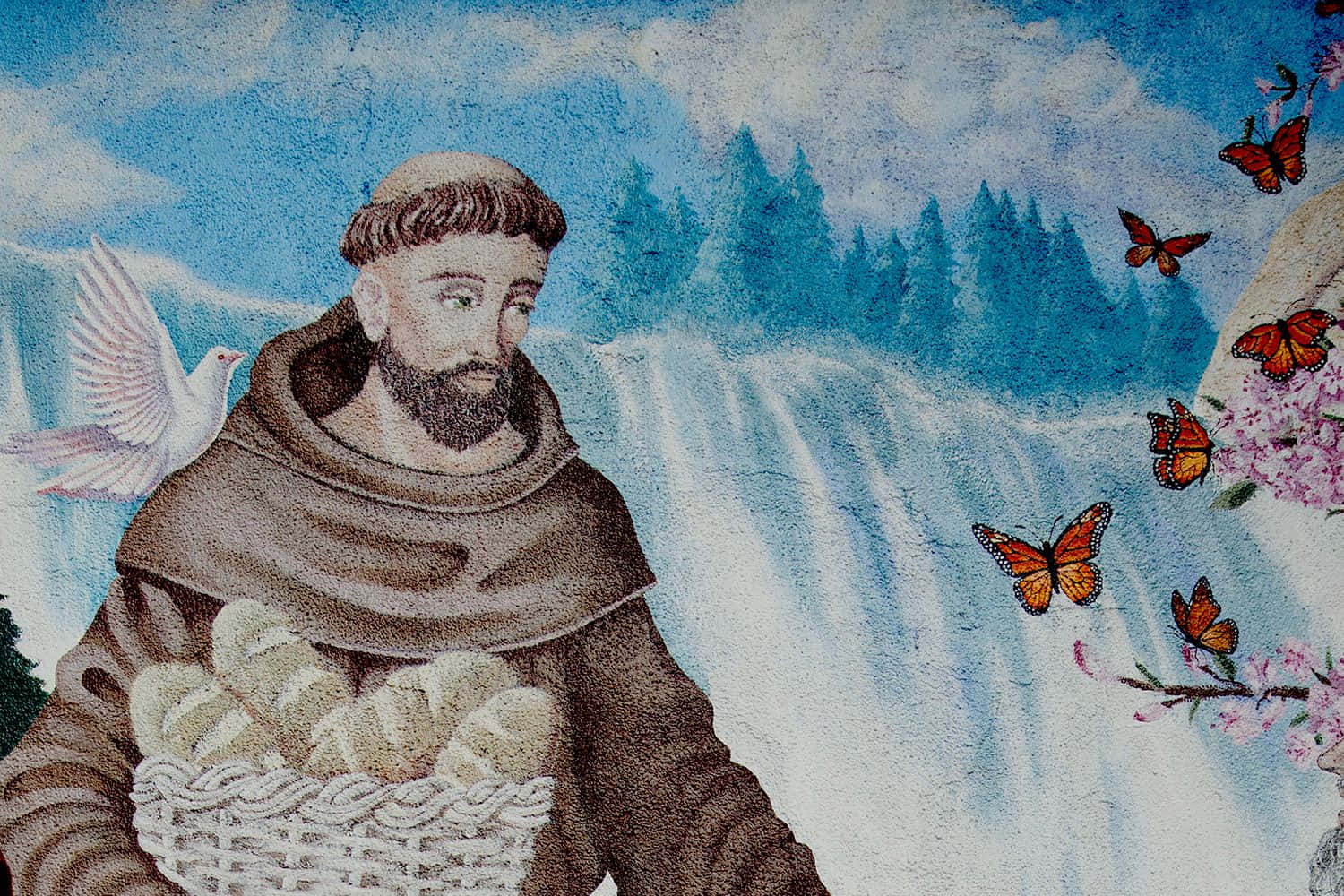 St Francis of Assisi, brown robes, waterfall, HD Desktop Wallpaper