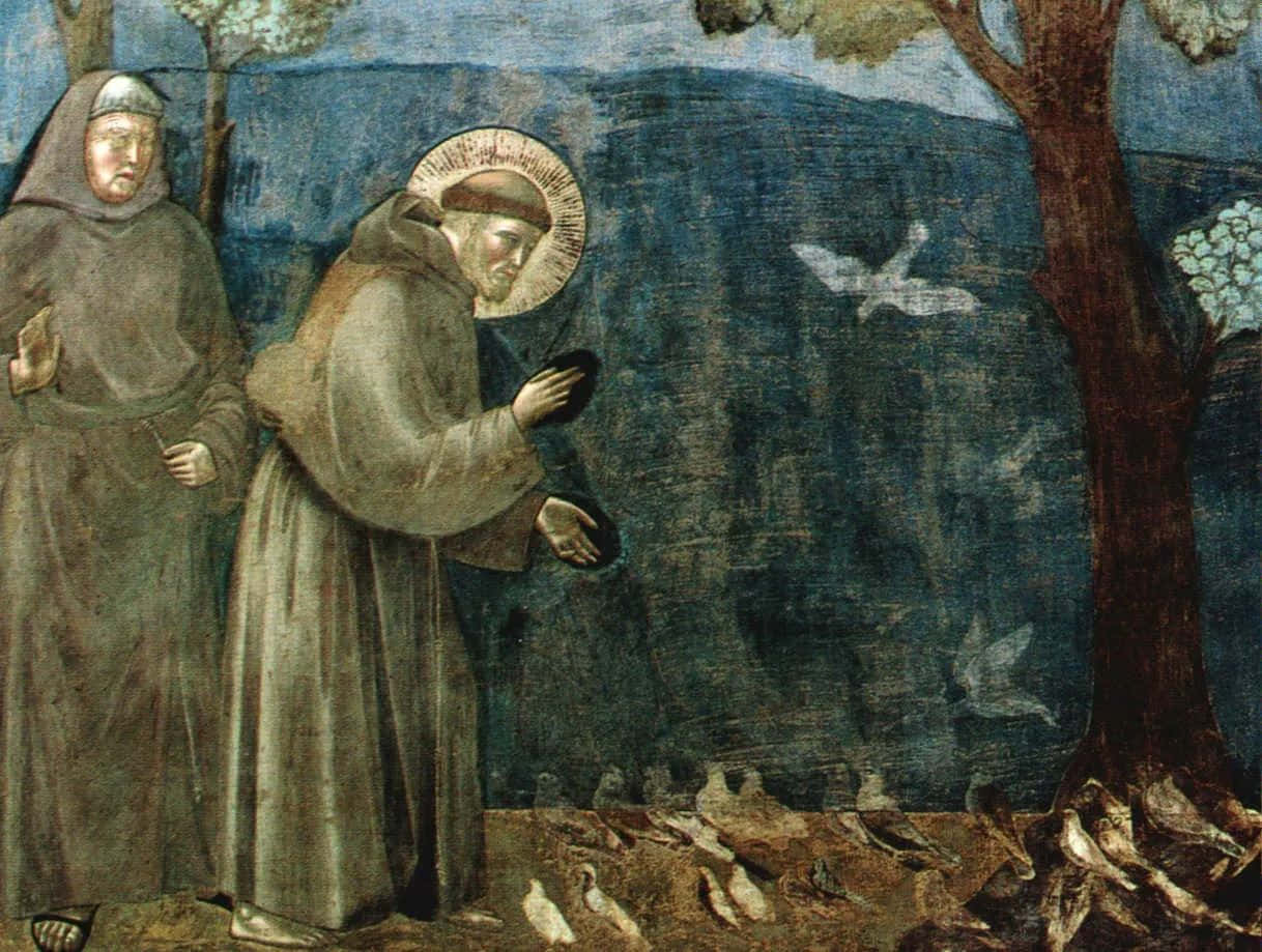 St Francis, brown robes, halo, SD Desktop Wallpaper
