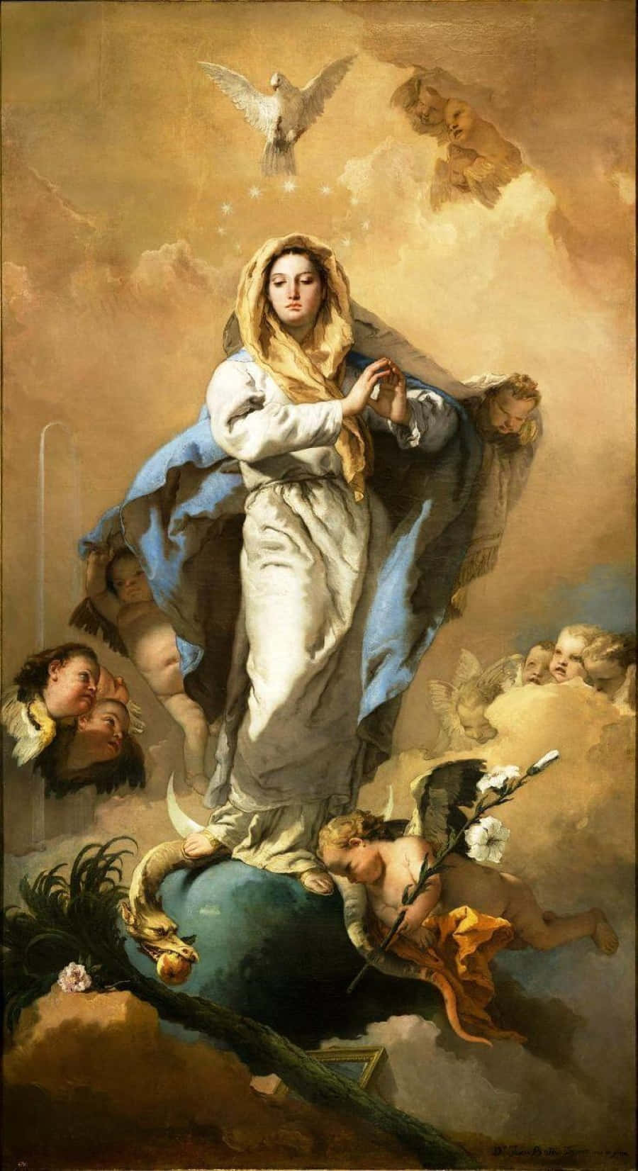 Feast Of The Immaculate Conception, white and blue robes, globe, HD Phone Wallpaper